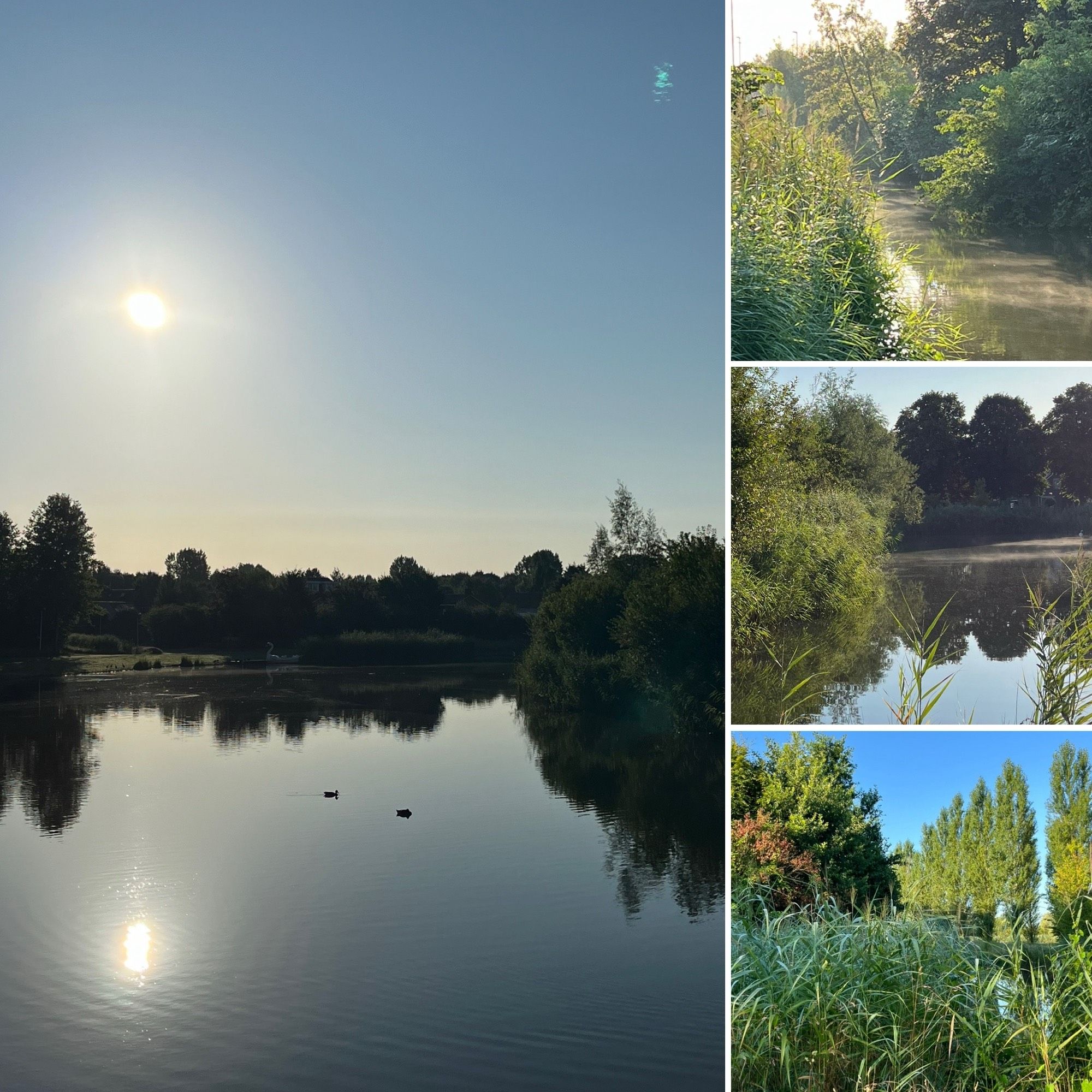 Pictures of a park in the morning with trees and water