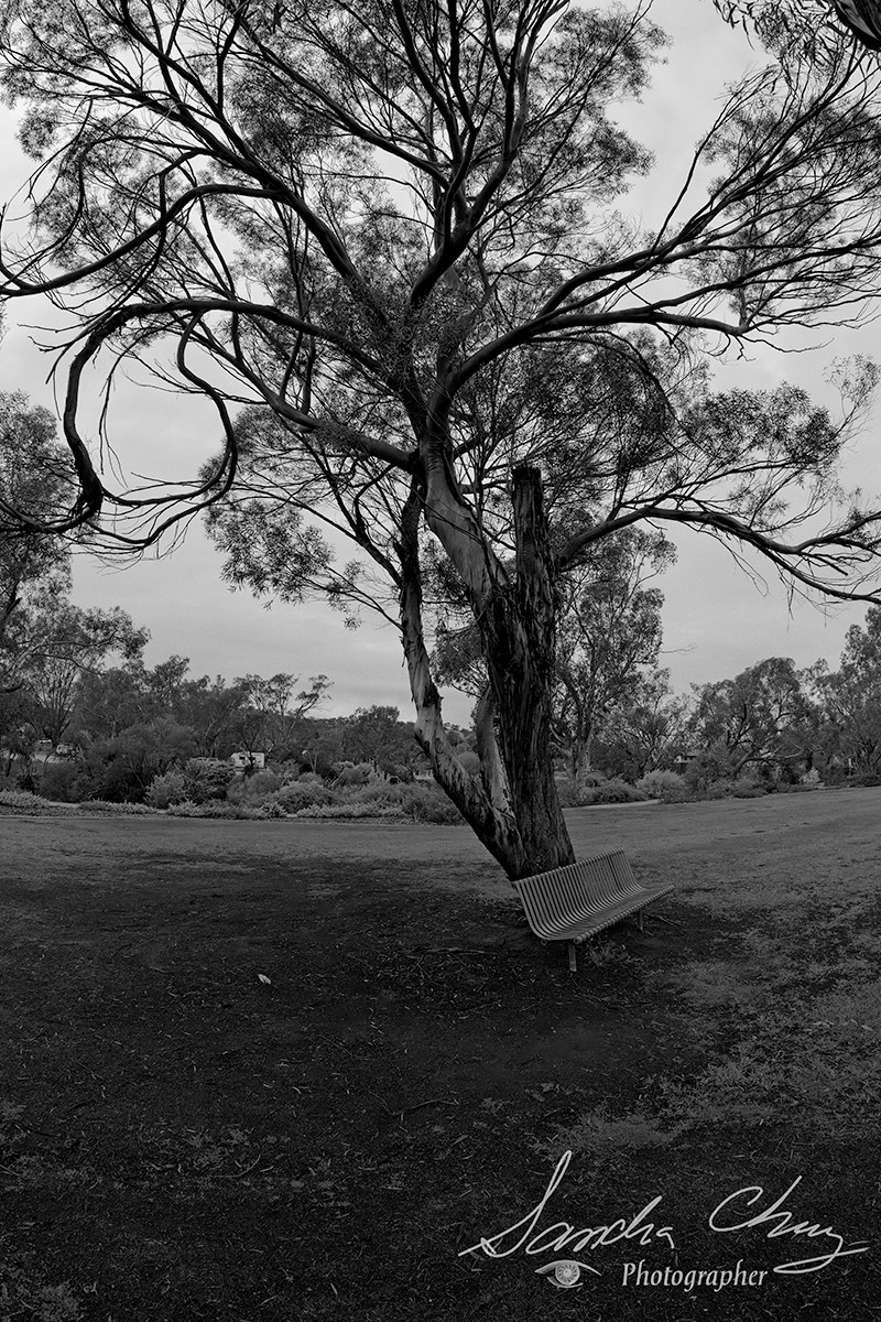 And another, but different, lonely bench.