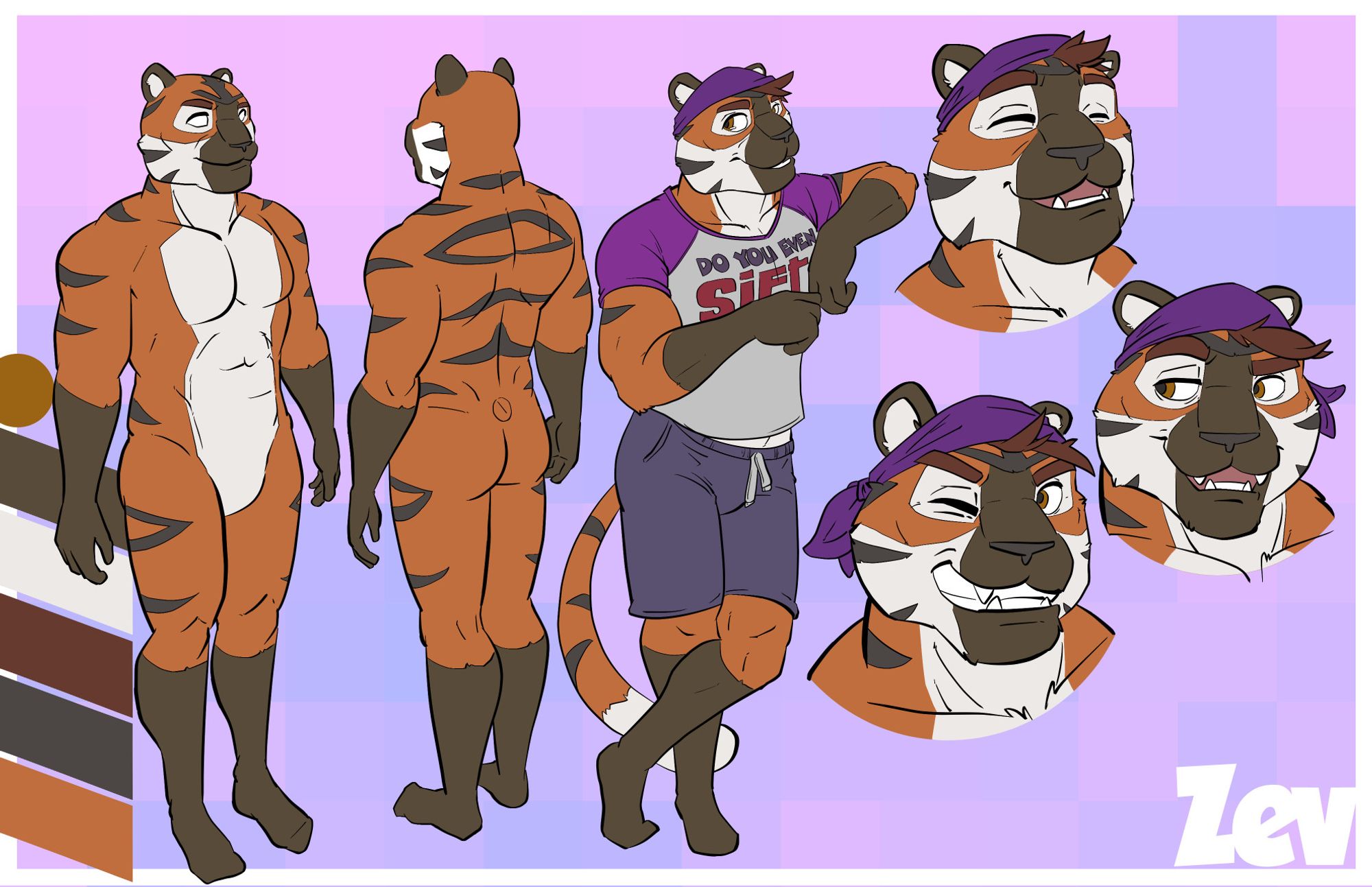 Ref sheet for Zev as a tiger