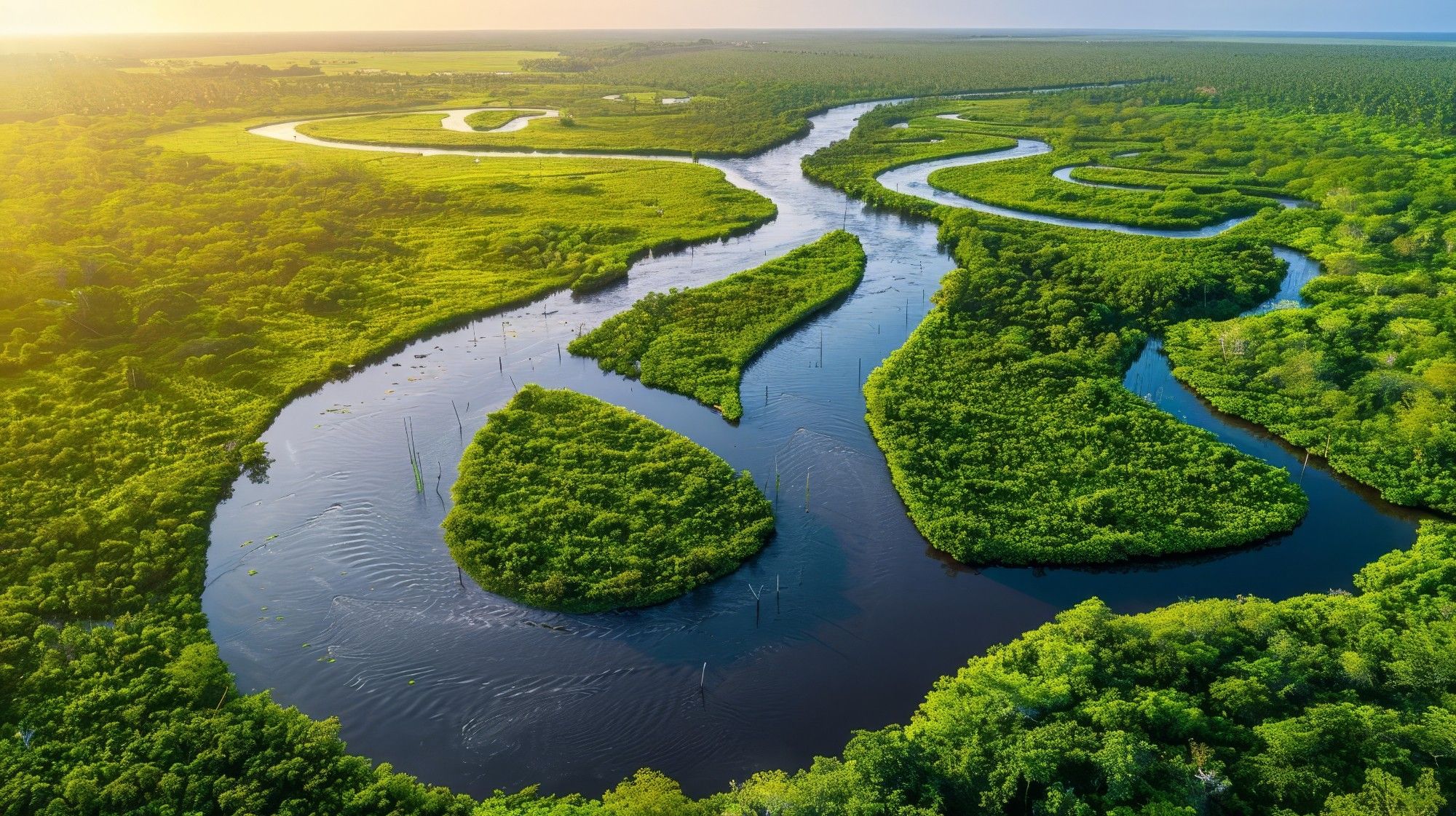 The Congo River (Democratic Republic of Congo) as a large, braided and meandering river winding through a wide floodplain, with green plants and vegetation