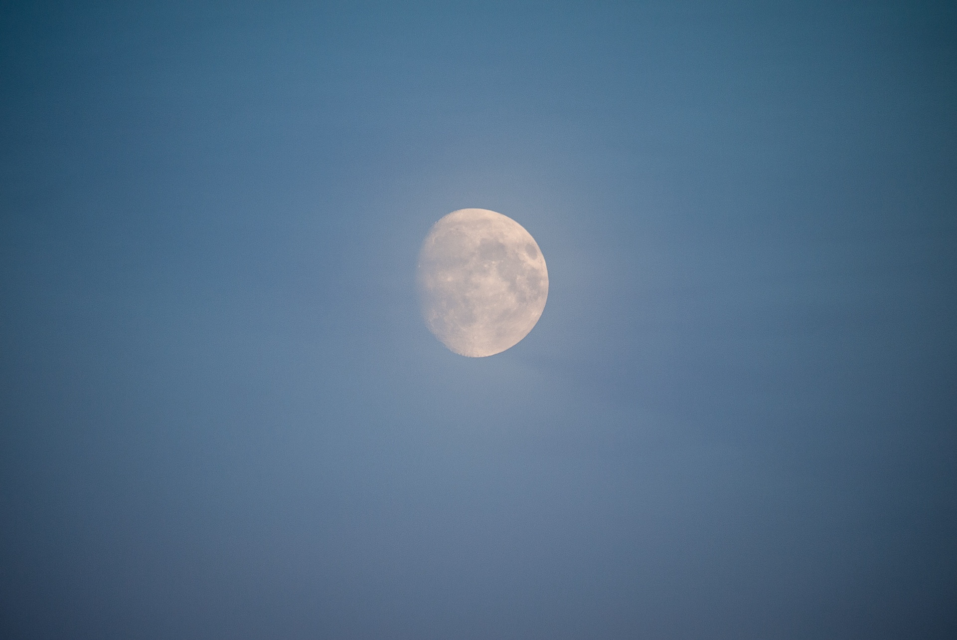 Colour photograph of the waxing gibbous moon glowing in a steel blue hazy sky at dusk.