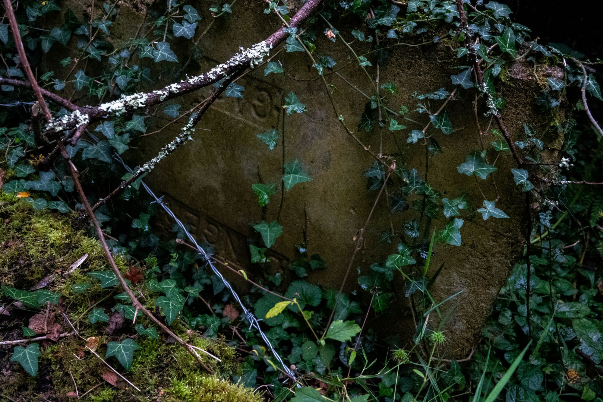 A stone manhole cover is leaning against something, upside-down text reads 'GAS' and 'DANGER'. Ivy is growing over it, and it's surrounded by moss and undergrowth.