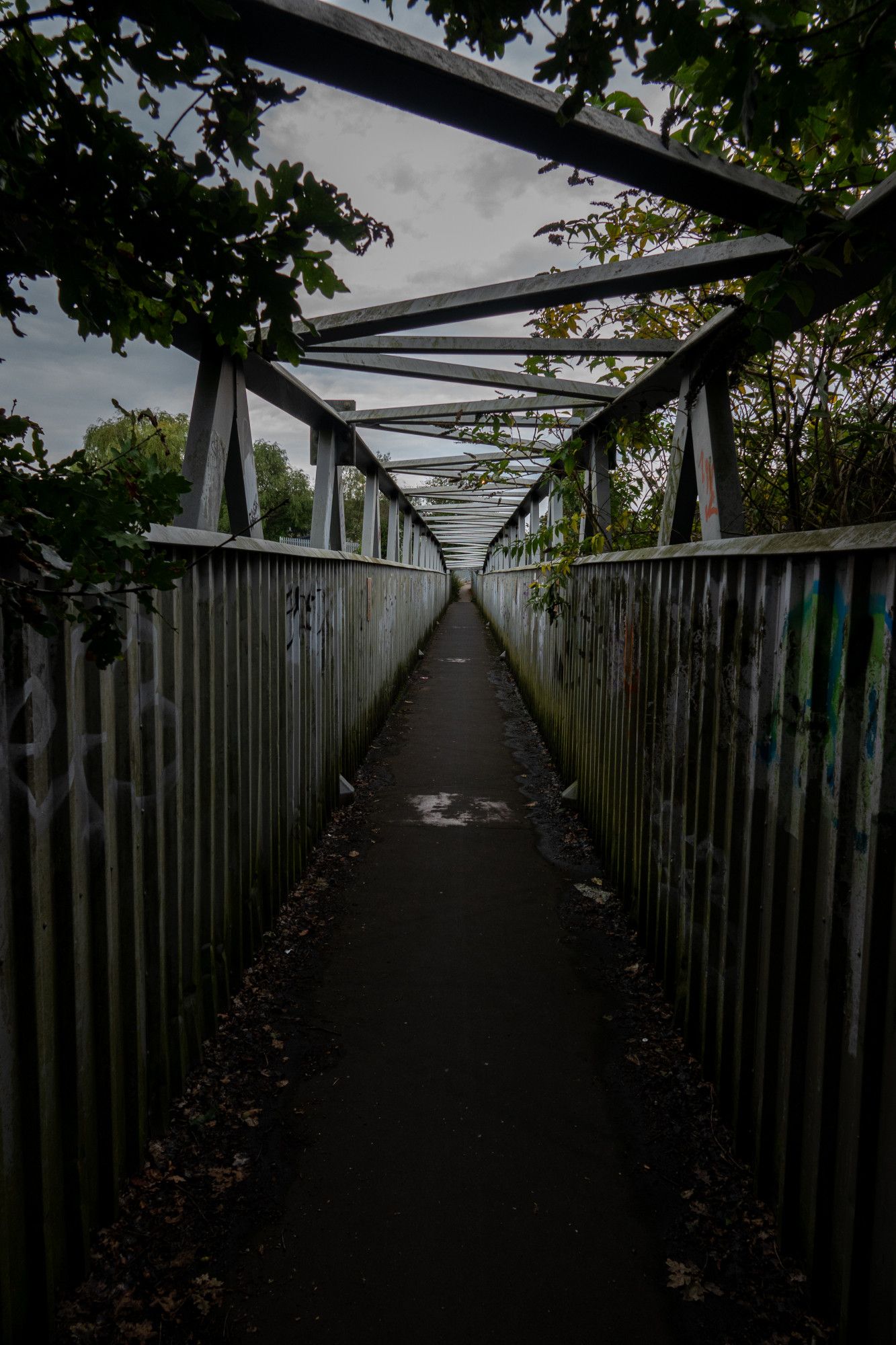 A long narrow metal bridge stretches into the distance, with branches leaning over and around it, dirty corrugated graffitied walls