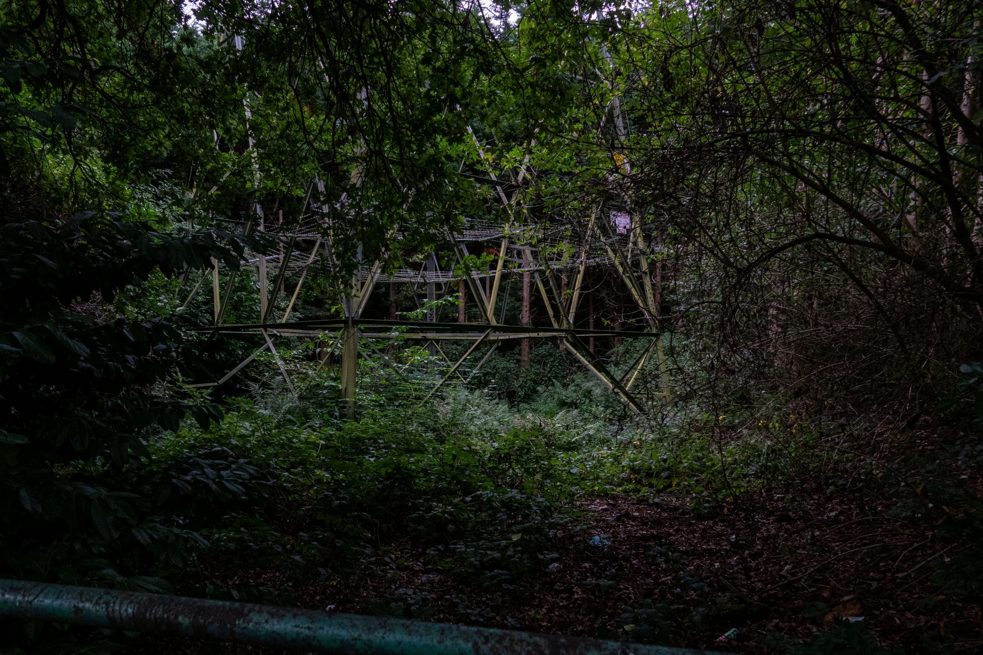 The base of an electricity pylon is visible amid undergrowth and trees , its metal greened too. There's a pipe along the bottom left of the photo, blocking way to it.