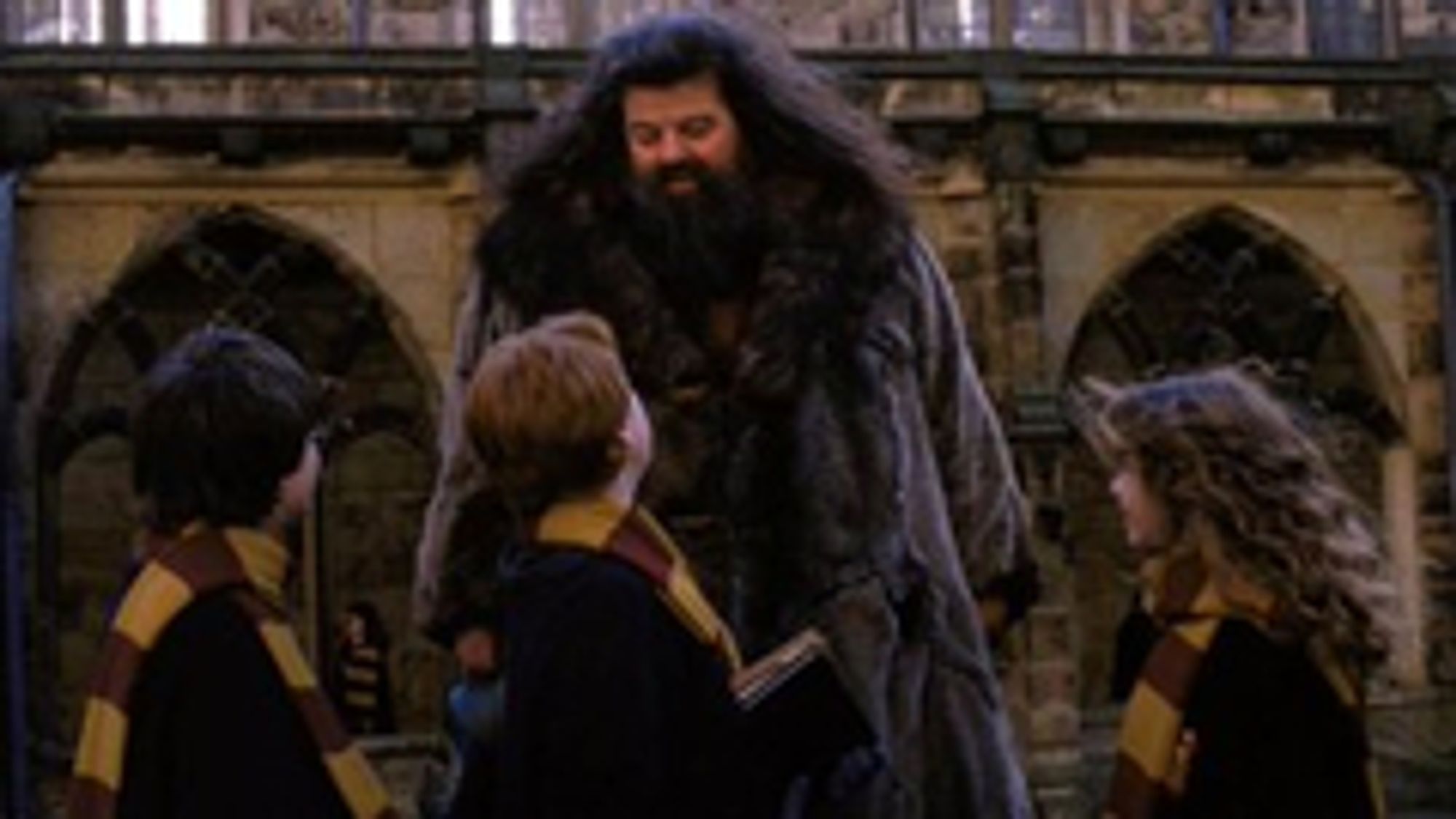 Robbie Coltrane in Harry Potter und der Stein der Weisen  aus dem Jahre 2001