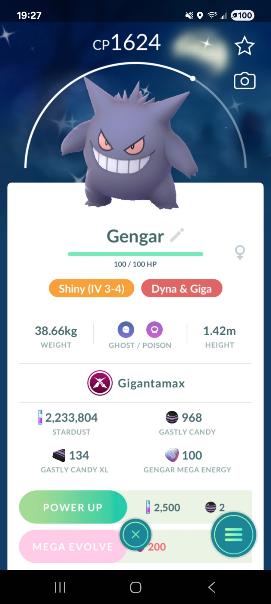 Image of a Shiny Gengar that is capable of G-maxing