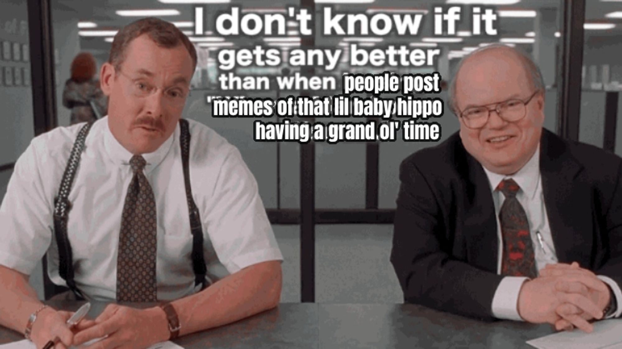 officespace movie consultants both named bob in conference room with cubicles behind them on the other side of glass, saying I don't know if it gets any better than when - change in font here because I overwrote the original caption - people post memes of that lil baby hippo having a grand ol' time