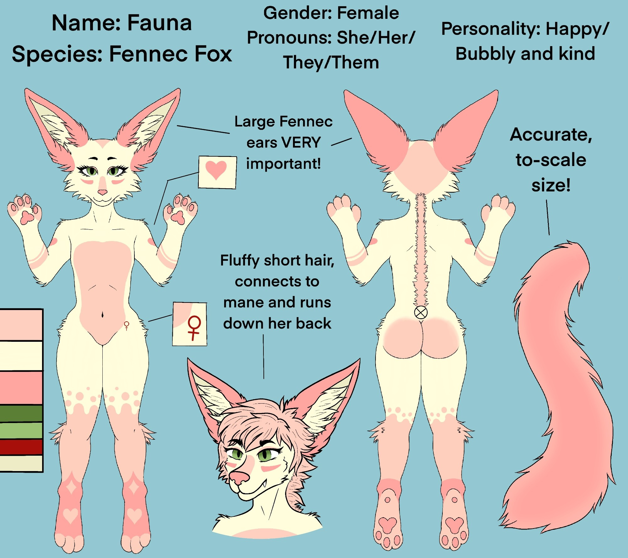 A furry reference sheet for a pink fennec fox