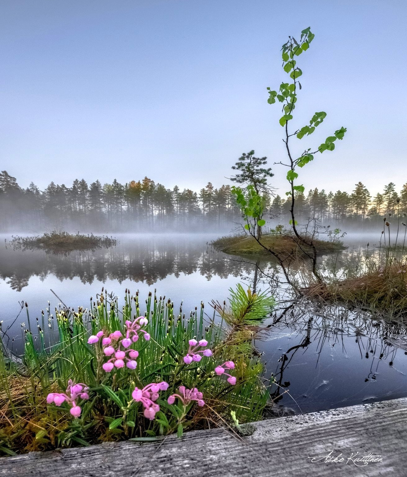 Leppoisaa lauantaita itsekullekin! Kuva Asko Kuittinen 6.5.2024 Valtimo FINLAND