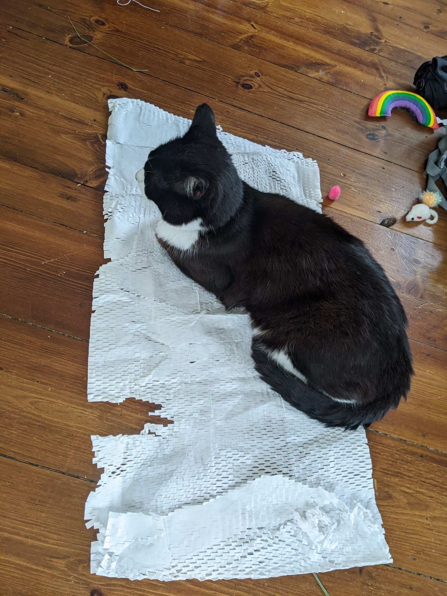 A tuxedo cat is lying contentedly upon some white packing paper - the kind with honeycomb slits. The paper is on a wooden floor and cat toys are visible to one side.