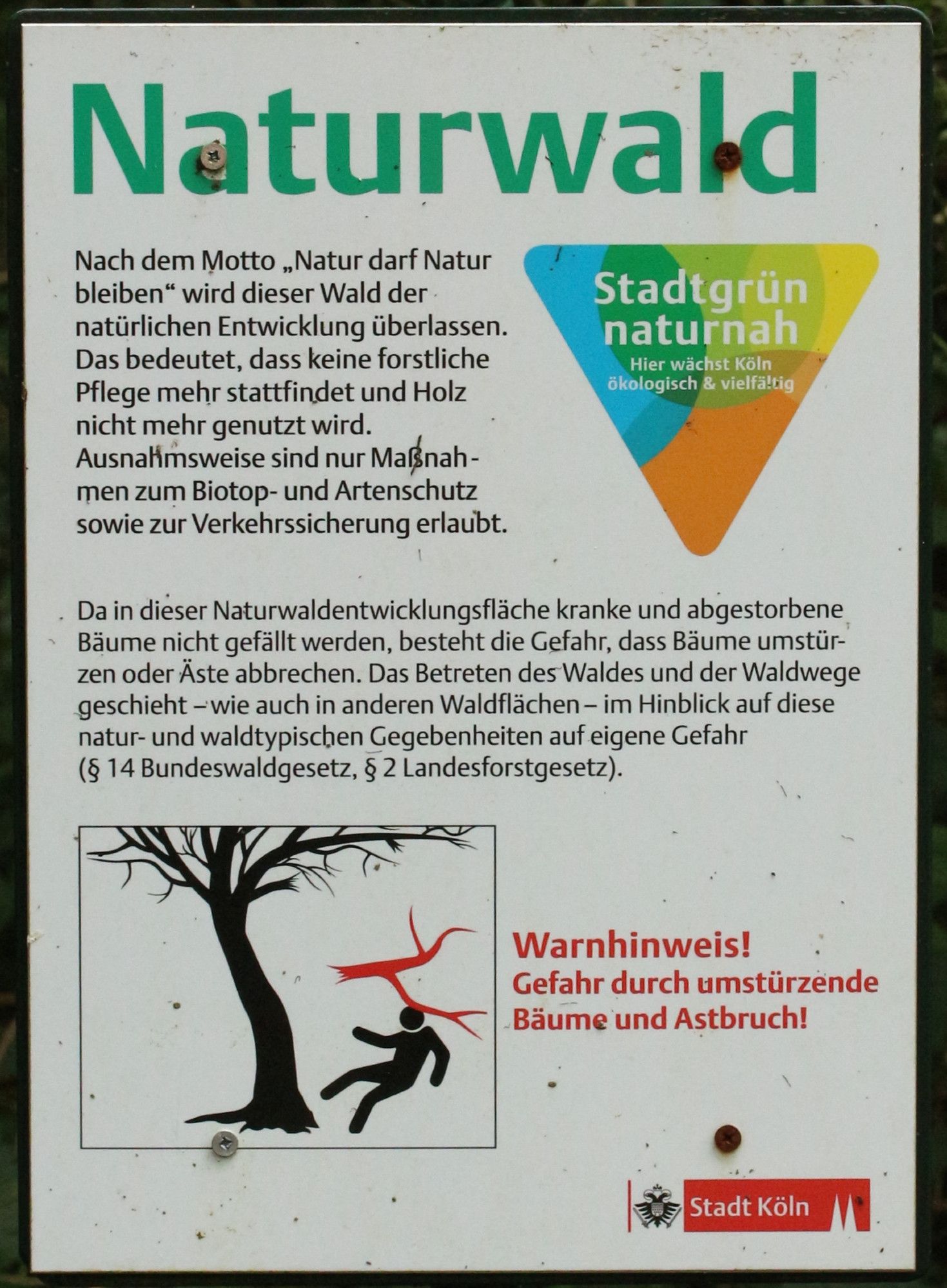 Schild im Gremberger Wäldchen mit folgendem Text:

Naturwald

Nach dem Motto "Natur darf Natur bleiben" wird dieser Wald der natürlichen Entwicklung überlassen. Das bedeutet, dass keine forstliche Pflege mehr stattfindet und Holz nicht mehr genutzt wird.
Ausnahmsweise sind nur Maßnahmen zum Biotop- und Artenschuz sowie zur Verkehrssicherung erlaubt.

Da in dieser Naturwaldentwicklungsfläche kranke und abgestorbene Bäume nicht gefällt werden, besteht die Gefahr, das Bäume umstürzen oder Äste abbrechen. Das Betreten des Waldes und der Waldwege geschieht - wie auch in anderen Waldflächen - im Hinblick auf diese natur- und waldtypischen Gegebenheiten auf eigene Gefahr (§ 14 Bundeswaldgesetz, § 2 Landesforstgesetz).

Warnhineis!
Gefahr durch umstürzenden Bäume und Astbruch!