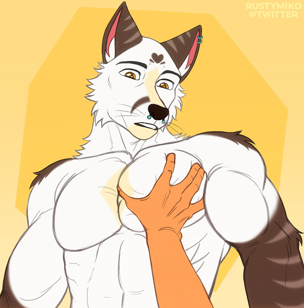 An anthro fox getting his pec grabbed