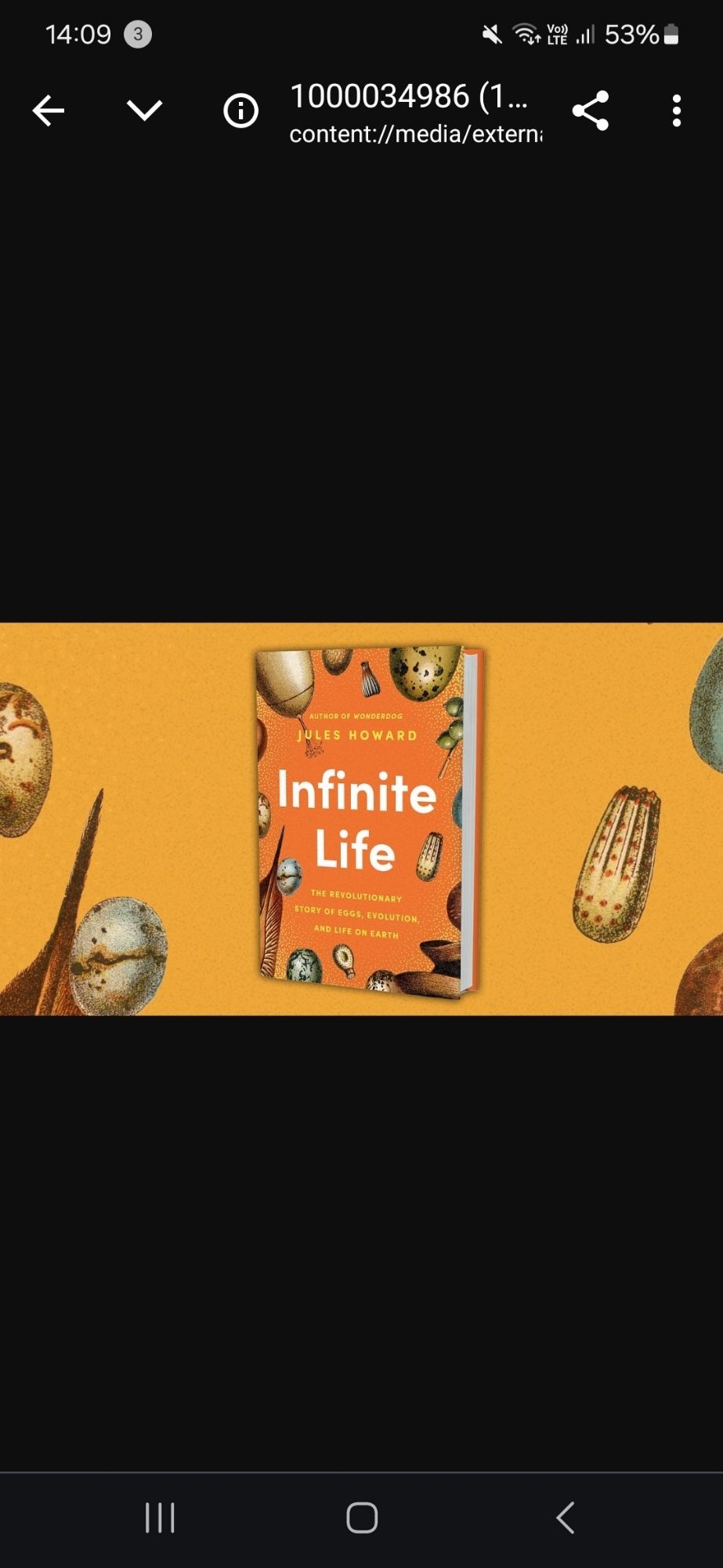 Image of book cover INFINITE LIFE by Jules Howard. Orange background with colour paintings of all kinds of eggs around the edge. Book is against a paler orange background with enlarged egg images.