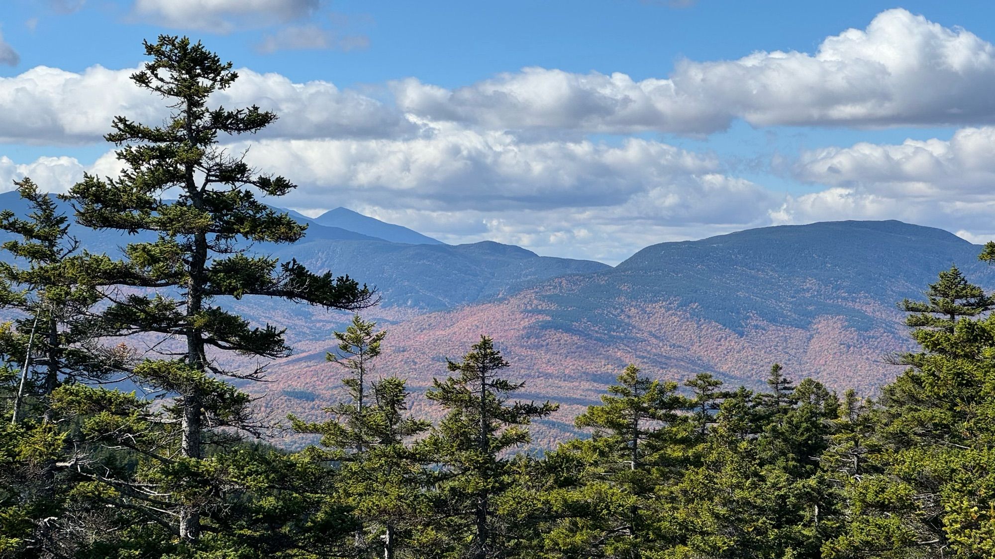 The White Mountains in fall. Pine trees in the foreground with rolling hills in the distance. White puffy clouds in the sky.