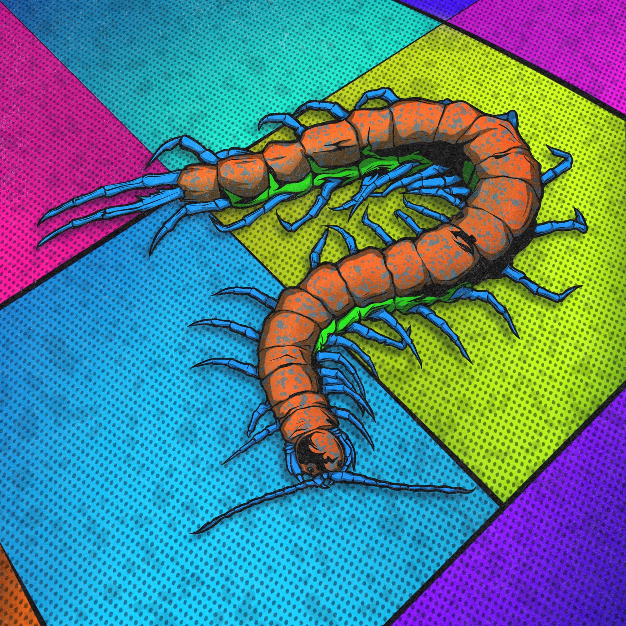 An illustration of a millipede? On a brightly colored floor, the illustration has a distressed look.