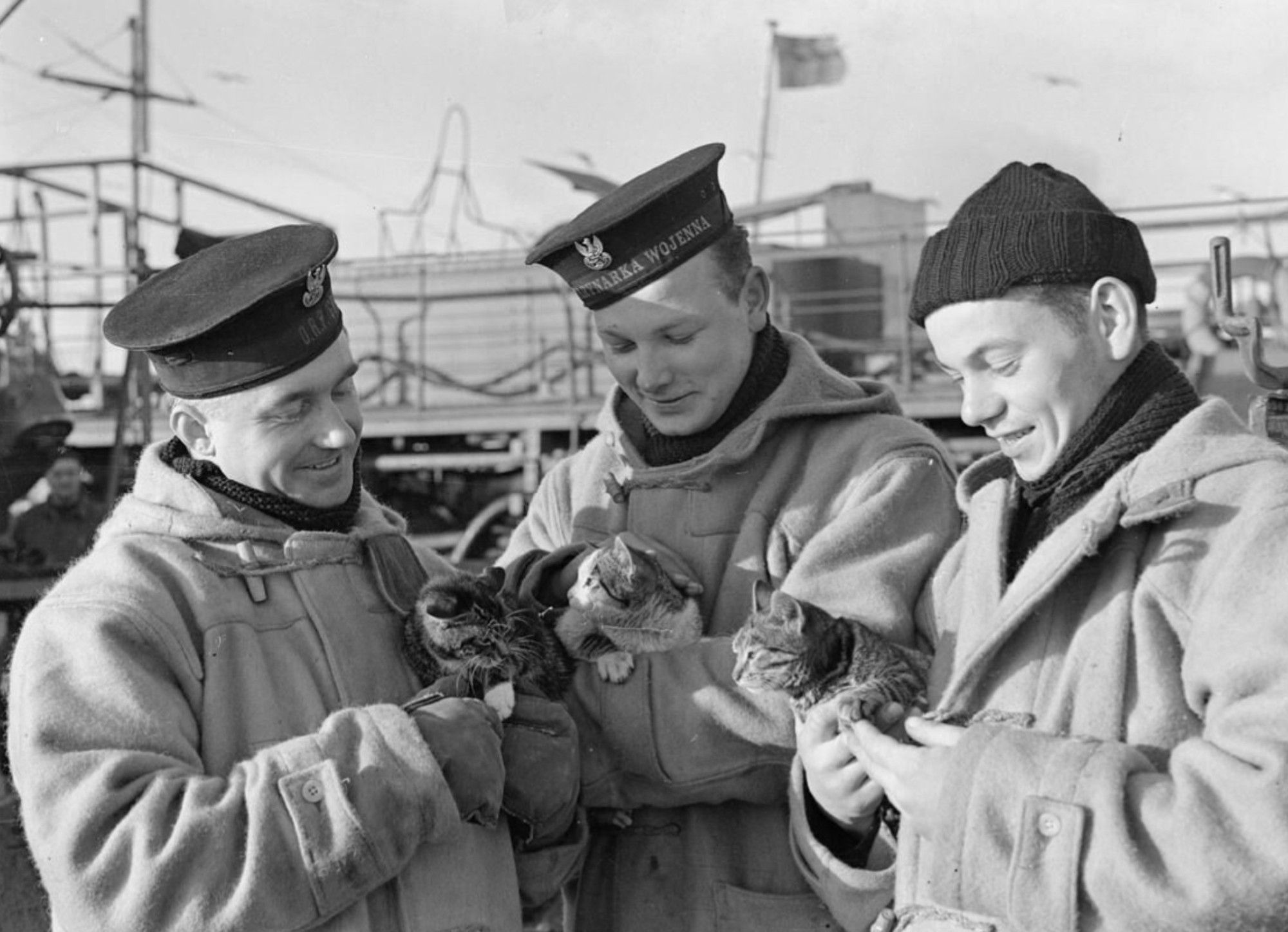 Black and white photo of three sailors all dressed in cold weather gear and each holding a cat.