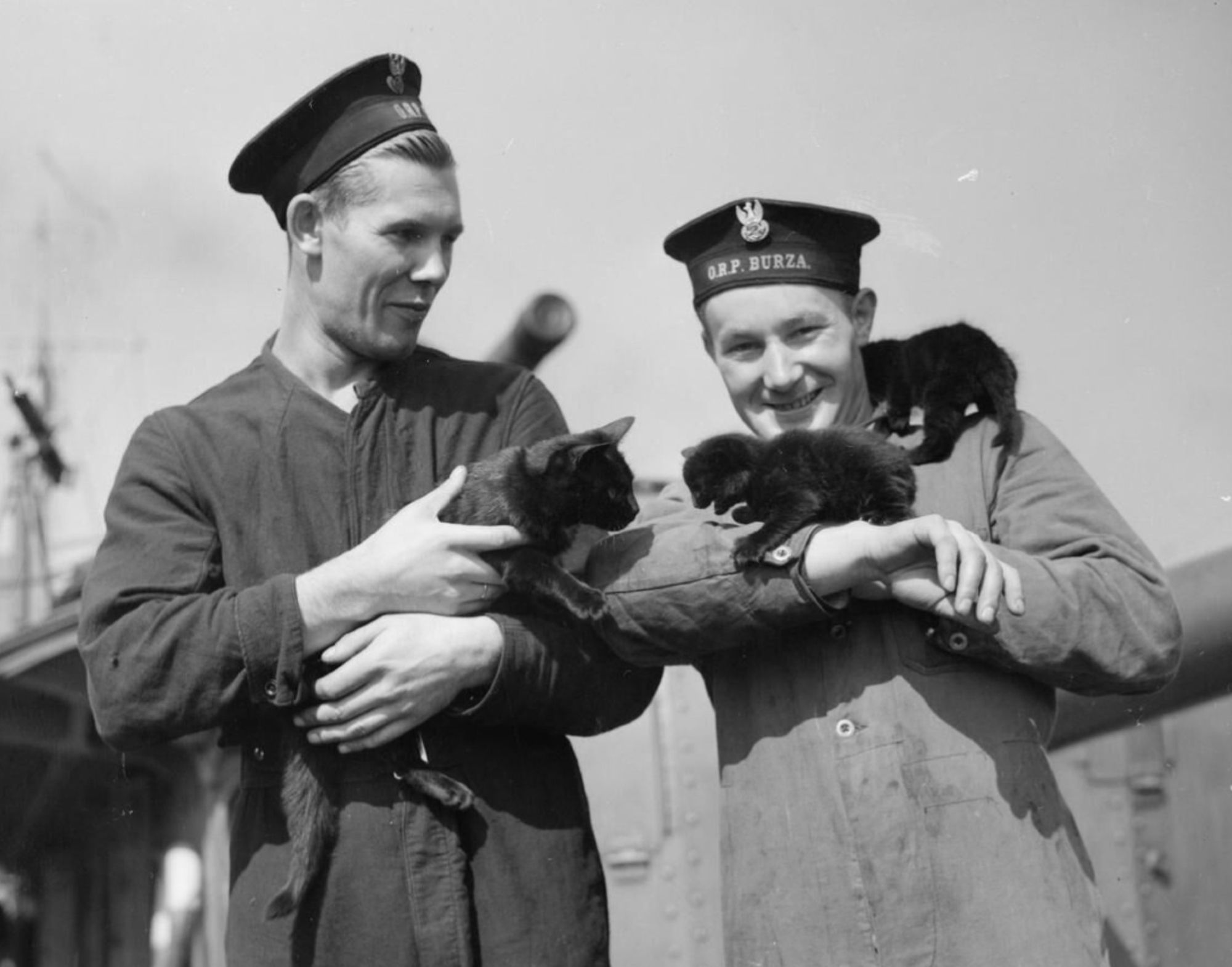 Black and white photo of two sailors in boiler suits; one is holding a black cat, the other is being climbed over by two black kittens.