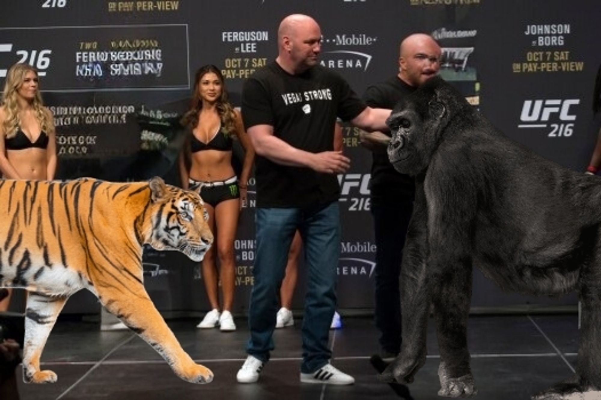 A UFC weight-in with a gorilla and tiger being separated by Dana White