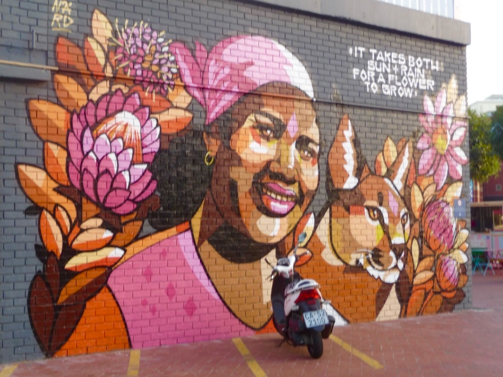 An einer Hauswand ein Spruch: 
„IT TAKES BOTH: SUN + RAIN FOR A FLOWER TO GROW“ neben einem Wandbild in Pink- und Orangetönen. Dargestellt sind eine lächelnde Frau, Pflanzen und ein Luchs. Vor dieser Wand parkt ein Motorroller innerhalb des gelb markierten Bereichs.