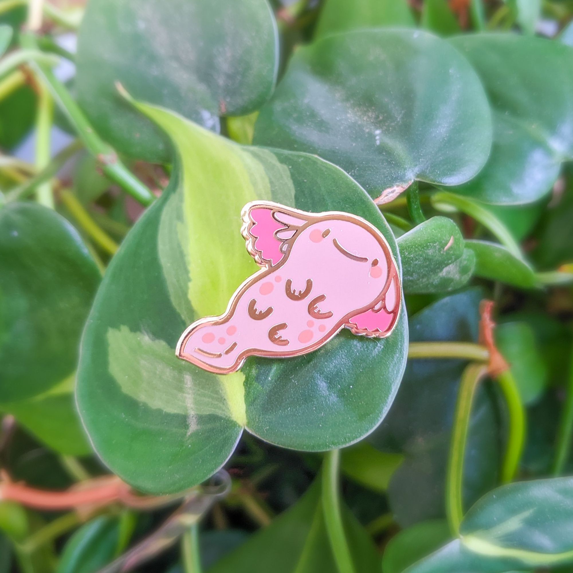 Photo of a mudpuppy enamel pin on some leaves.