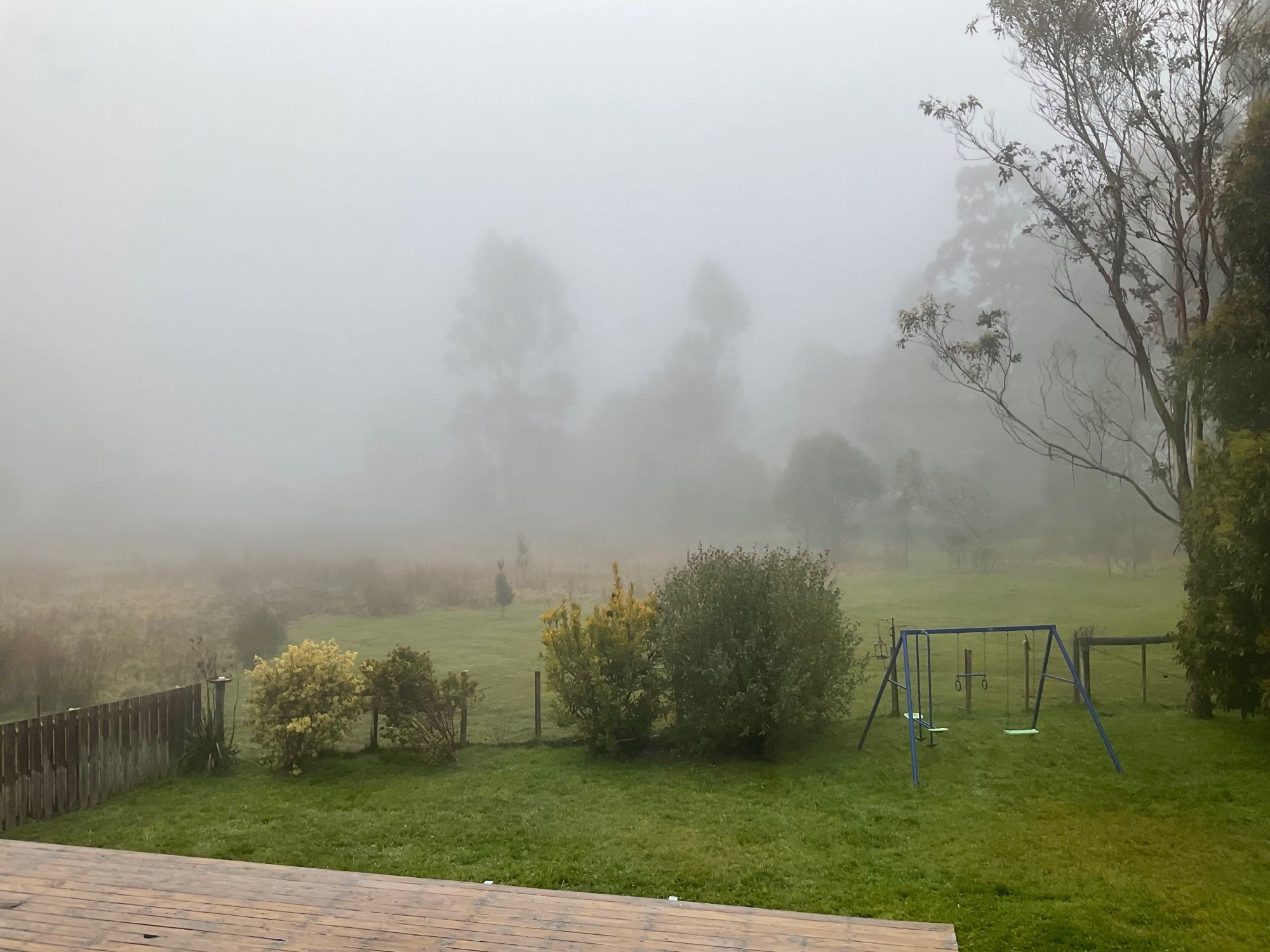 view from a window of fog concealing the mid and far landscape