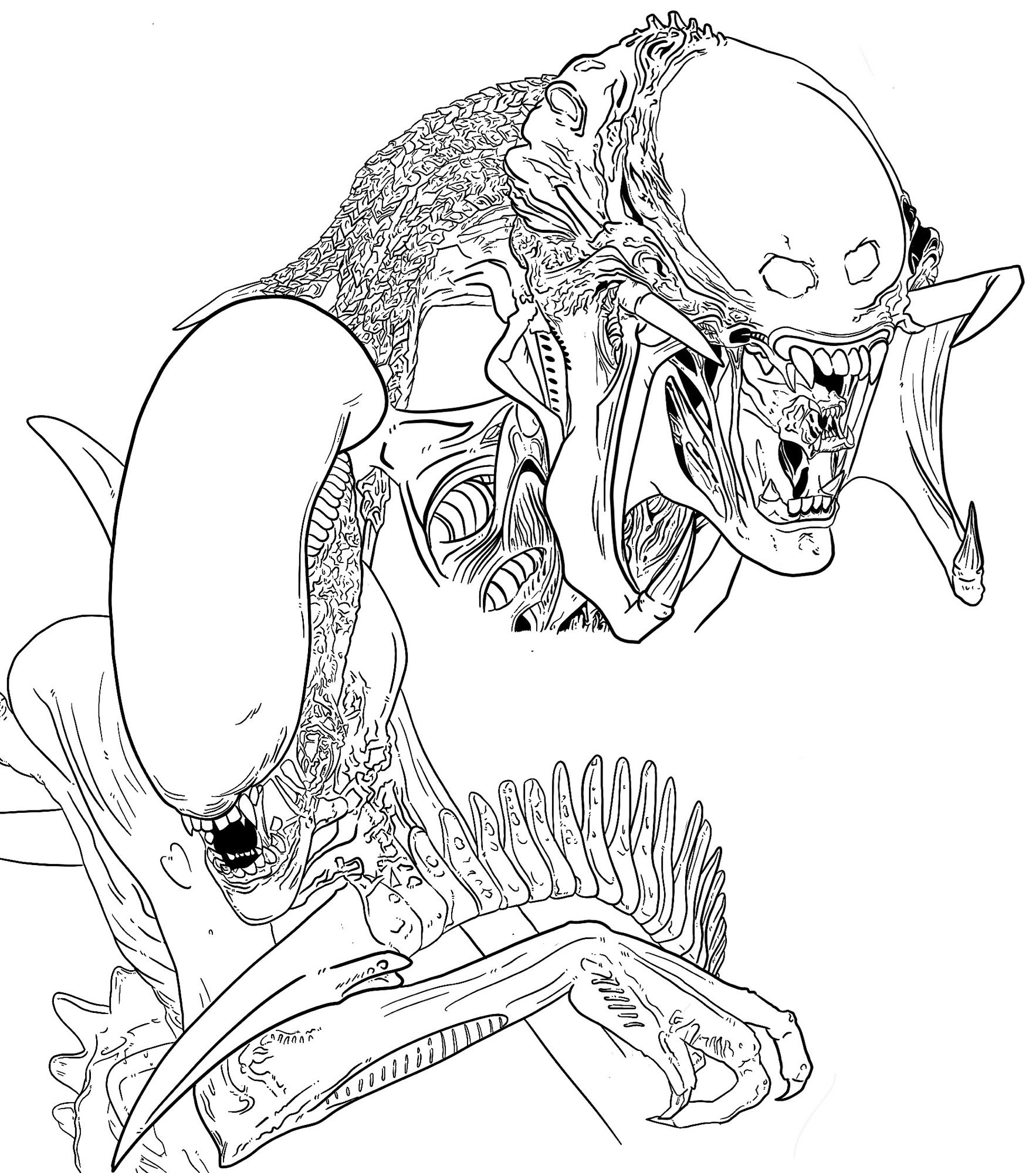 Line art of the Predalien in Alien Vs Predator-a hybrid of the Yautja and Xenomorphs and a Xenomorph from the Alien movies. Both have their mouths open and look ready to shoot out their secondary eel like jaws.