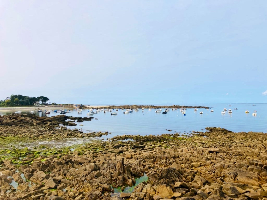 La plage et le port de Pouldohan à marée basse