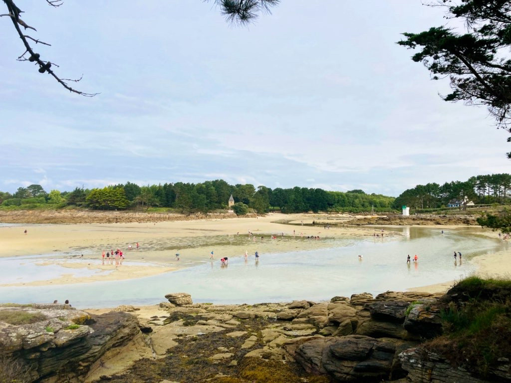 Pêche à pied dans l’anse de Pouldohan à marée basse