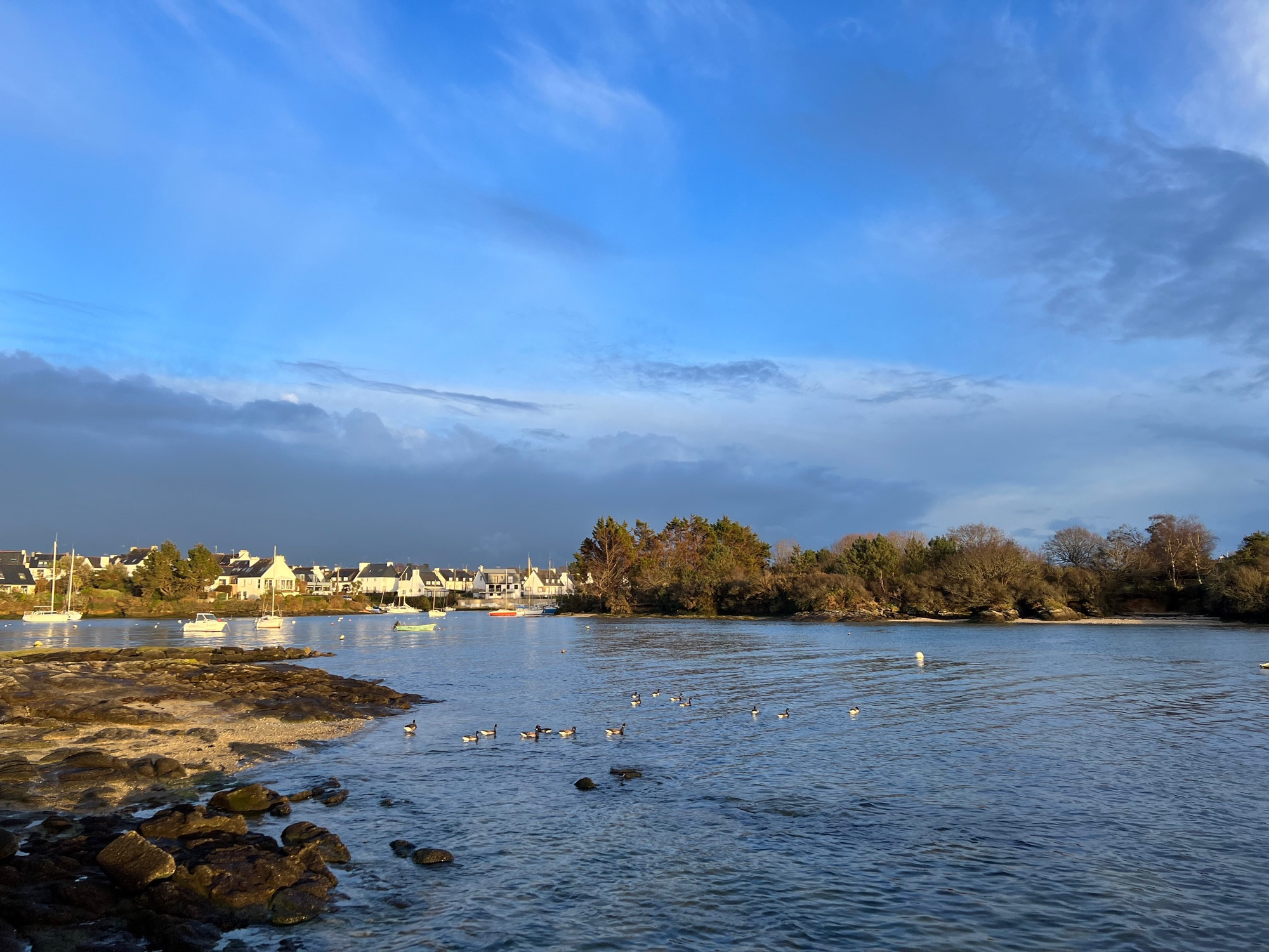 Fin de journée, les rayons bas du soleil éclairent les maisons au fond de la ria, des canards sauvages sur l’eau au premier plan