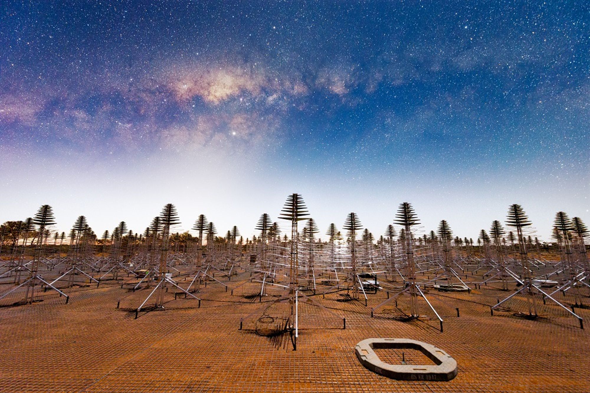 Composite image showing the SKA-Low antennas all placed on a mesh, and the milky way galaxy above it. The SKA low antennas look like metallic framed Christmas trees.