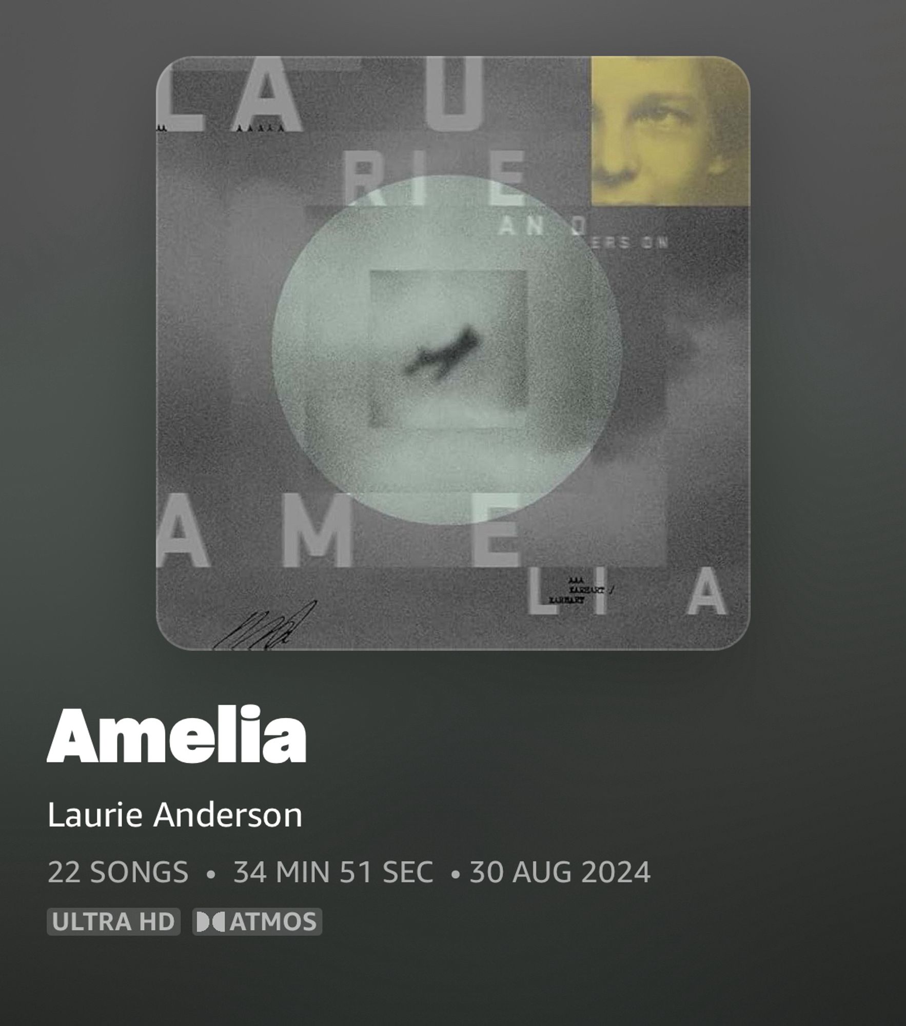 Screenshot of Amelia by Laurie Anderson