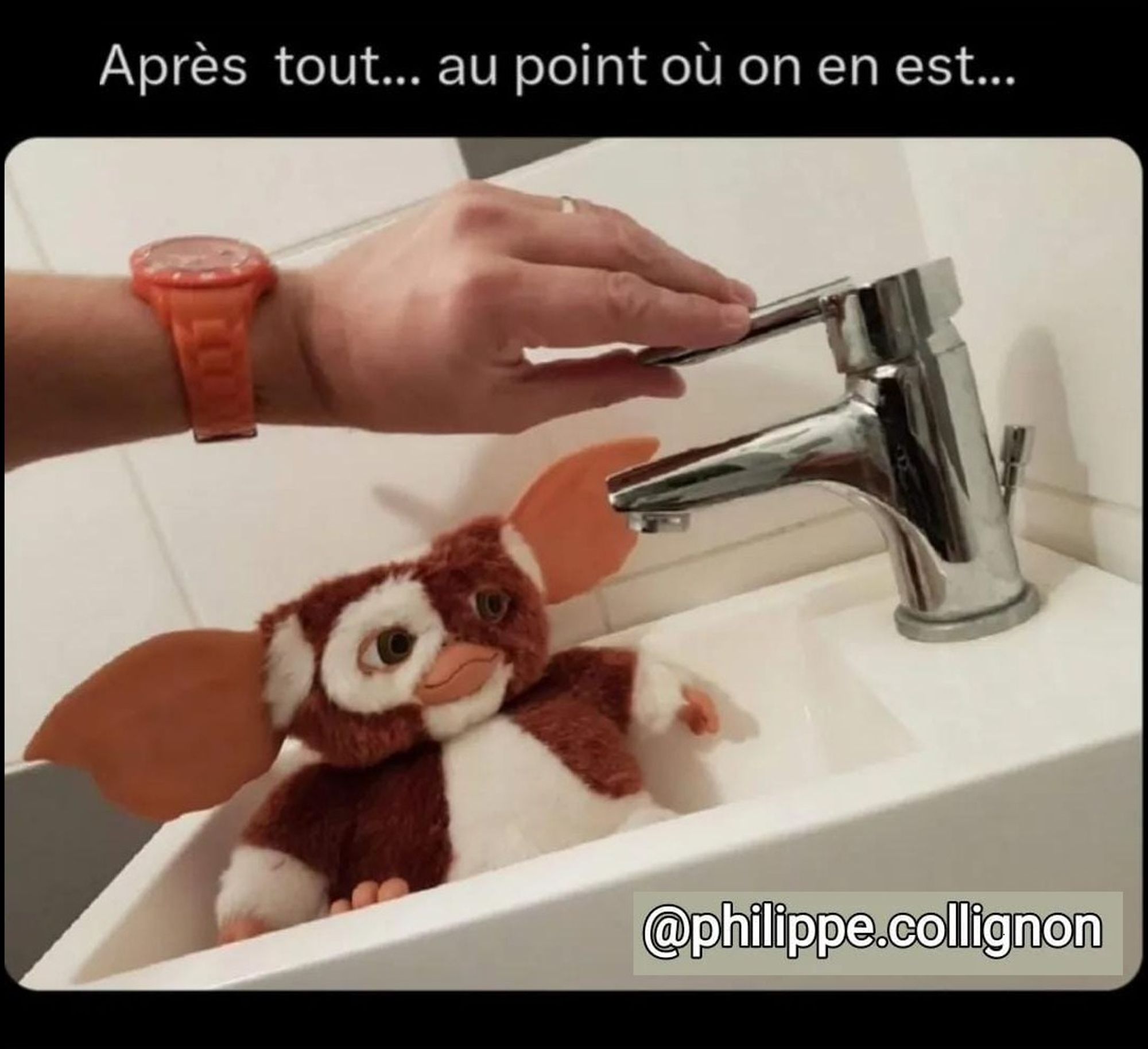 Cette image montre une peluche de gremelin dans un évier, une main prête à ouvrir le robinet, la légende : "Après tout... au point où on en est..."