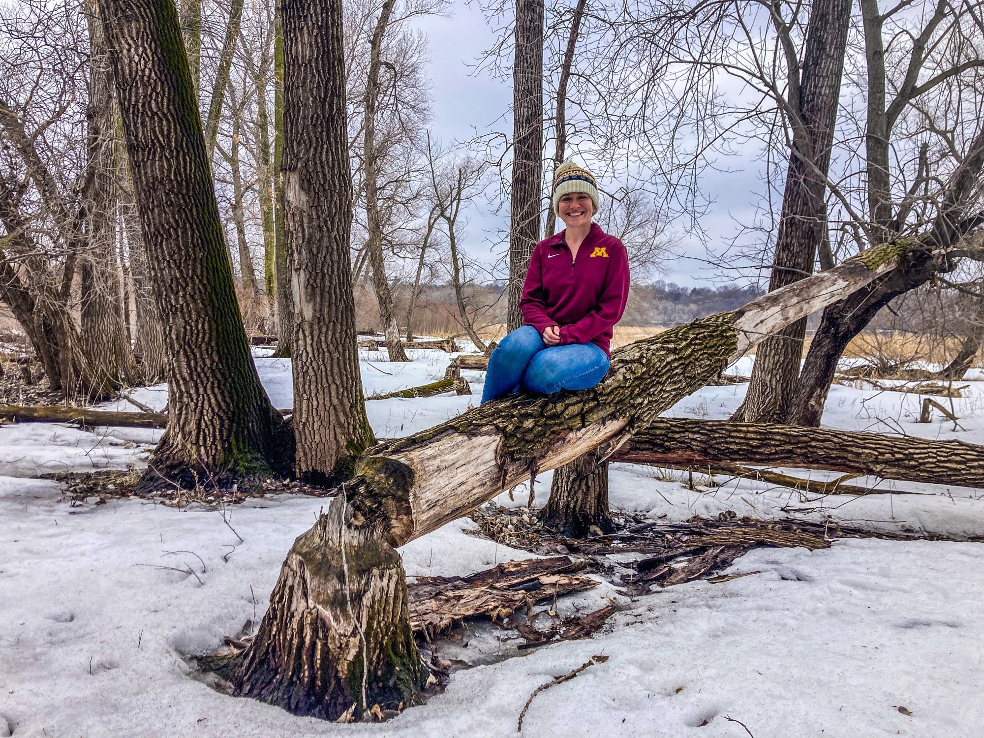 Me sitting on top a beaver chewed tree in a snowy floodplain