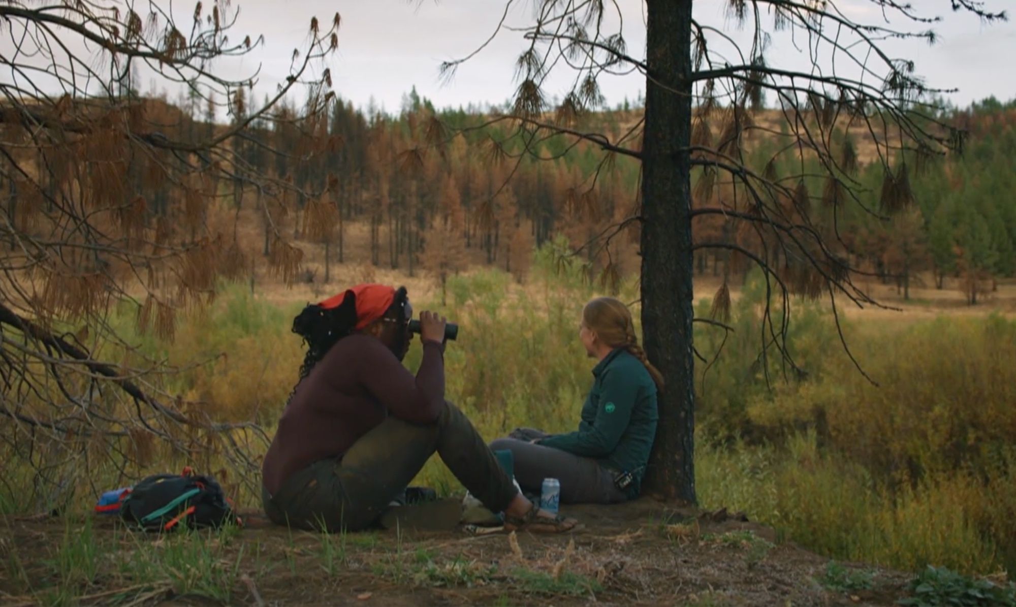 Sitting on the edge of a beaver wetland with my student, using binoculars to search for beavers