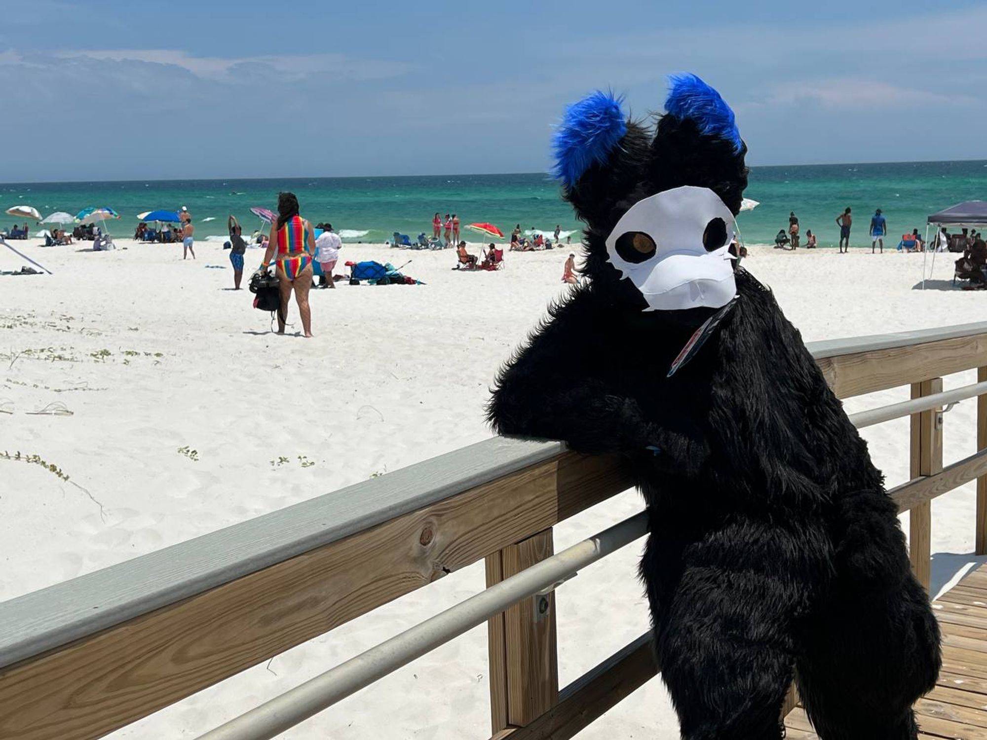 Luki standing on the boardwalk to the beach over the sand dunes. The water of the Gulf of Mexico behind him is the famous emerald-green that Destin, Florida has.