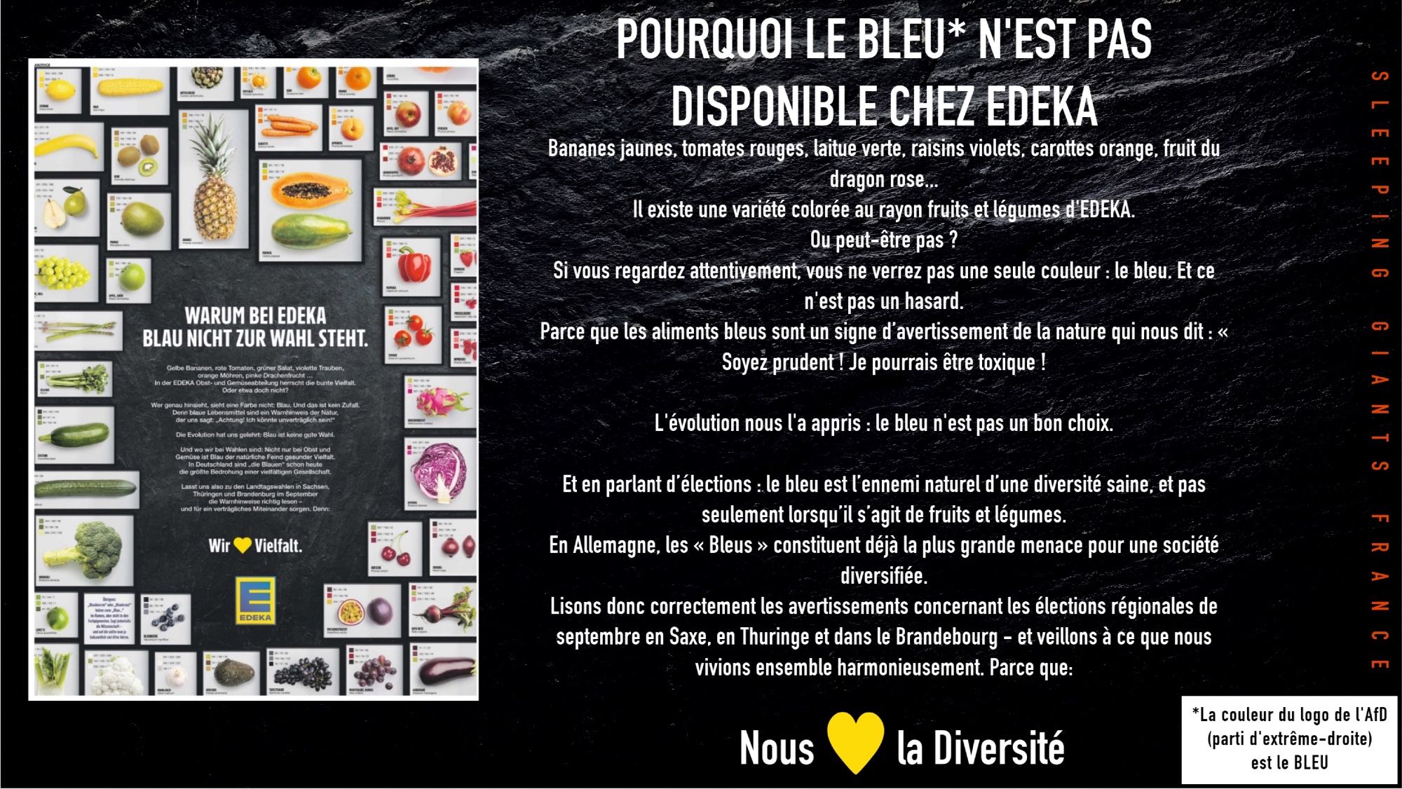 POURQUOI LE BLEU N'EST PAS 
DISPONIBLE CHEZ EDEKA
Bananes jaunes, tomates rouges, laitue verte, raisins violets, carottes orange, fruit du dragon rose...
Il existe une variété colorée au rayon fruits et légumes d'EDEKA.
Ou peut-être pas ?
Si vous regardez attentivement, vous ne verrez pas une seule couleur : le bleu. Et ce n'est pas un hasard.
Parce que les aliments bleus sont un signe d’avertissement de la nature qui nous dit : « Soyez prudent ! Je pourrais être toxique !
L'évolution nous l'a appris : le bleu n'est pas un bon choix.
Et en parlant d’élections : le bleu est l’ennemi naturel d’une diversité saine, et pas seulement lorsqu’il s’agit de fruits et légumes.
En Allemagne, les « Bleus » constituent déjà la plus grande menace pour une société diversifiée.
Lisons donc correctement les avertissements concernant les élections régionales de septembre en Saxe, en Thuringe et dans le Brandebourg - et veillons à ce que nous vivions ensemble harmonieusement.  nous aimons la diversité