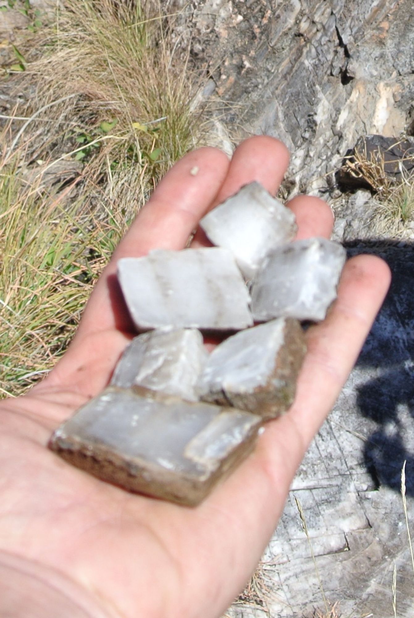 A poorly focused picture of a hand out flat, holding 6 individual calcite rhombs. The rhombs are 1 to a few inches across.