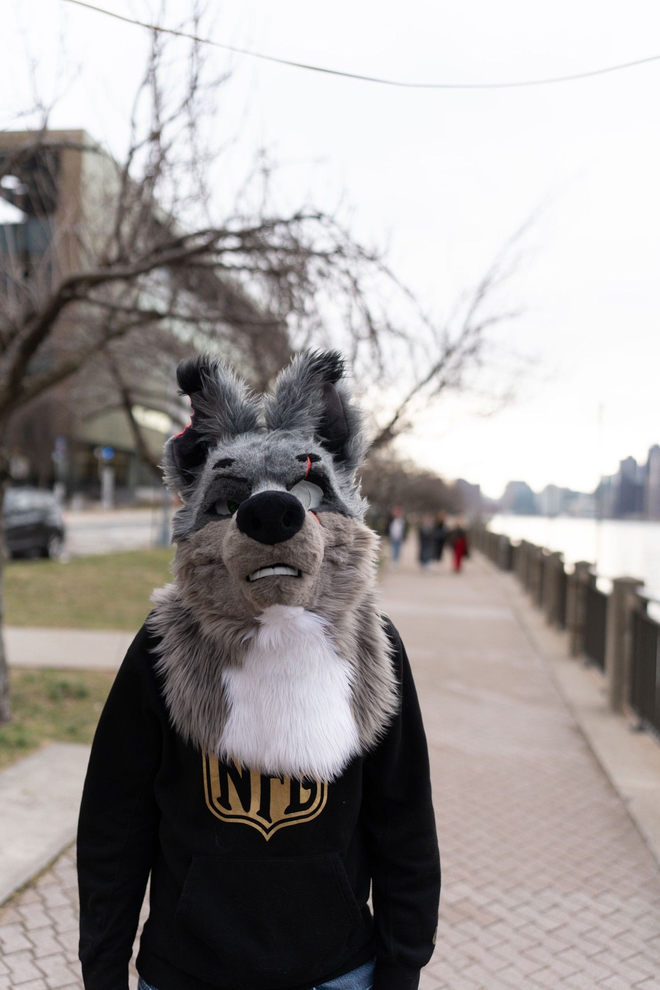 A gray, brown, and white partial fursuiter stands with a black and gold NFL sweatshirt on a waterfront.