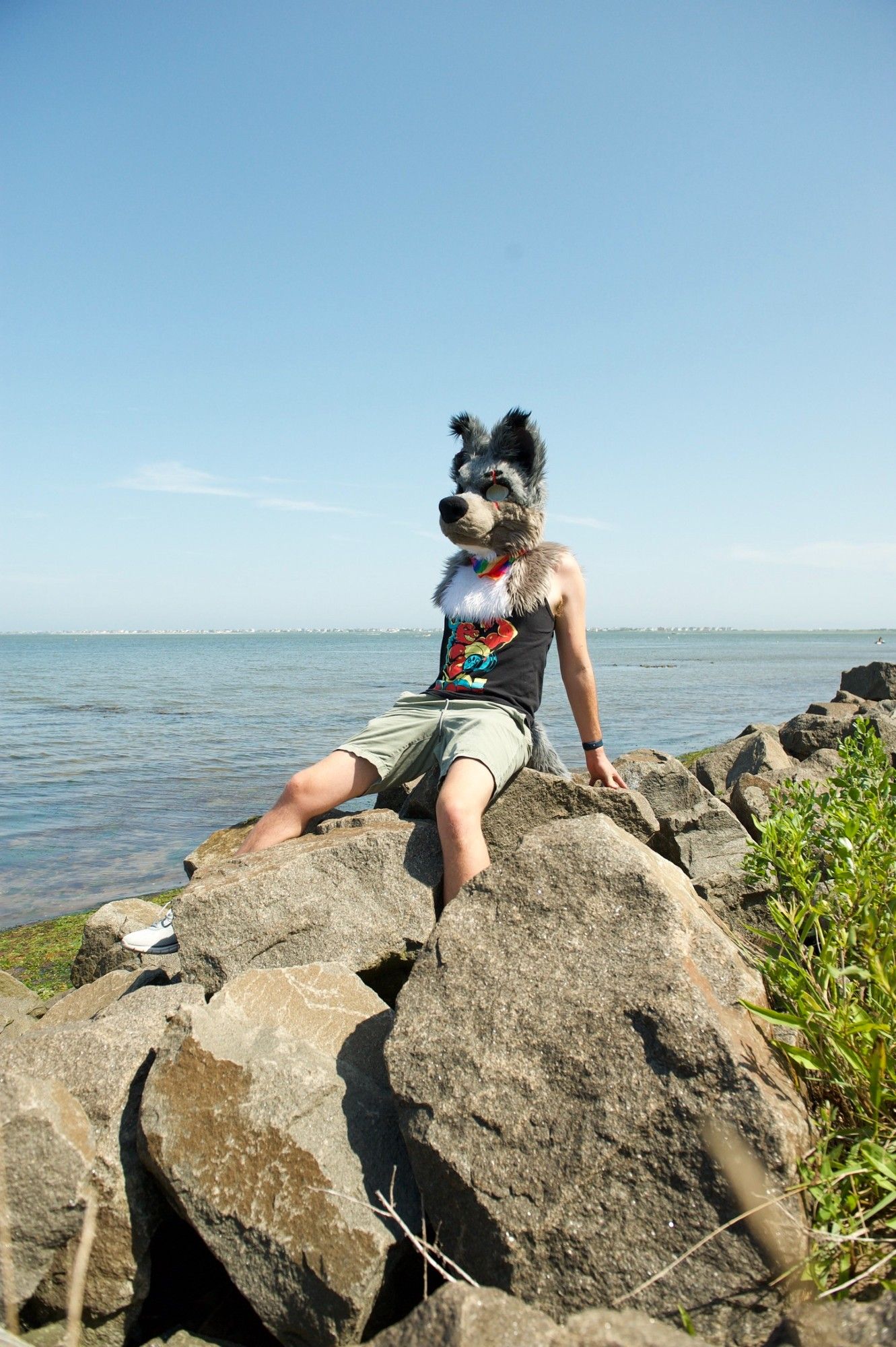 A gray wolf partial fursuiter sits on rocks by the ocean. He's wearing a pride bandana, a tail, green-ish shorts, and a black tanktop.