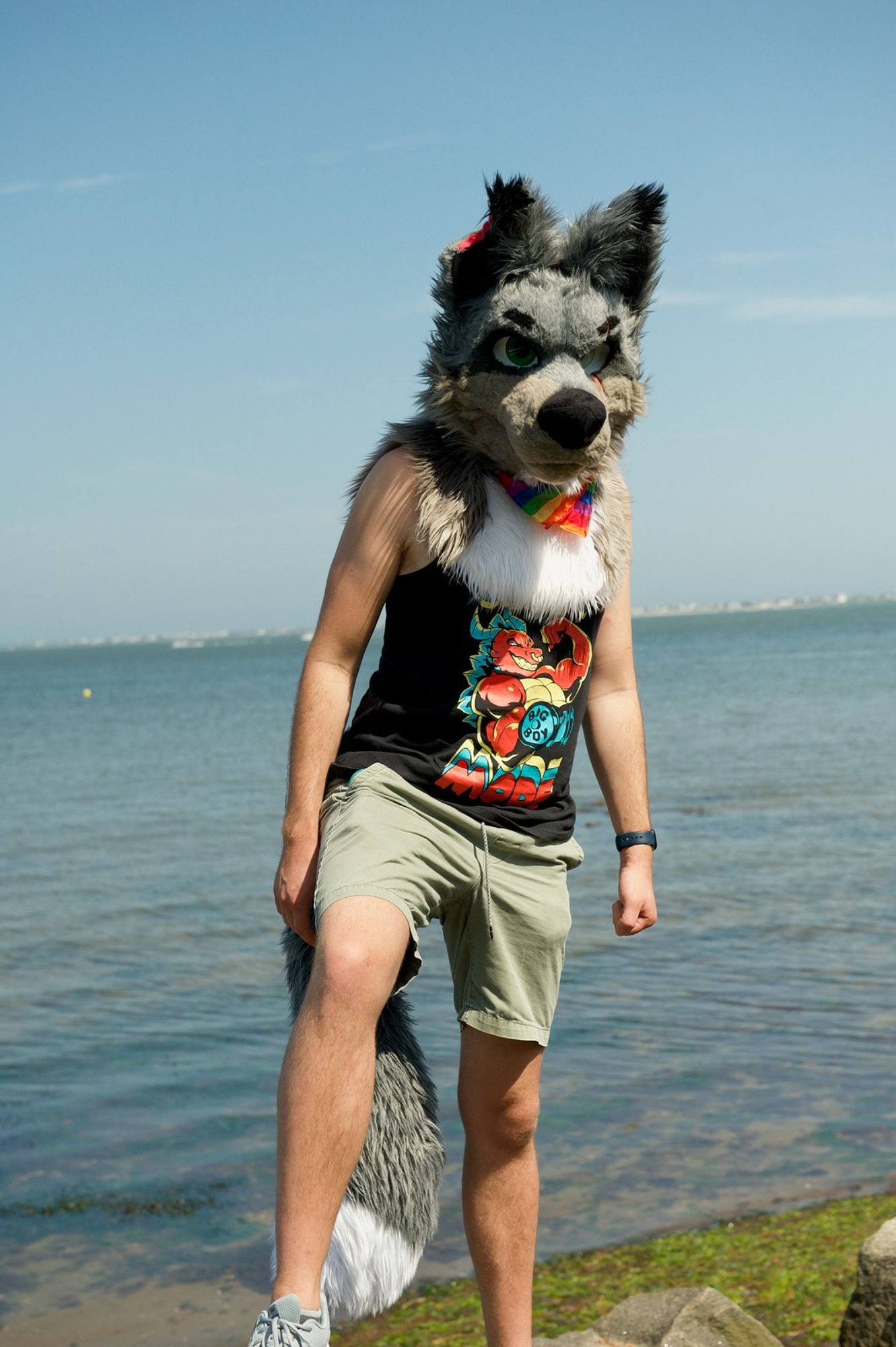 A gray wolf fursuiter stands on a beach.