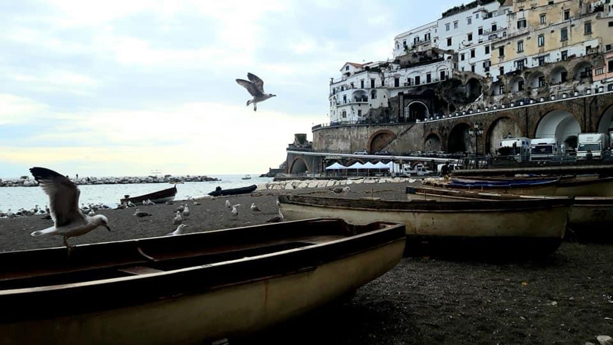 Zu sehen, sind mehrere Möwen am Meer an der Amalfiküste in Italien.