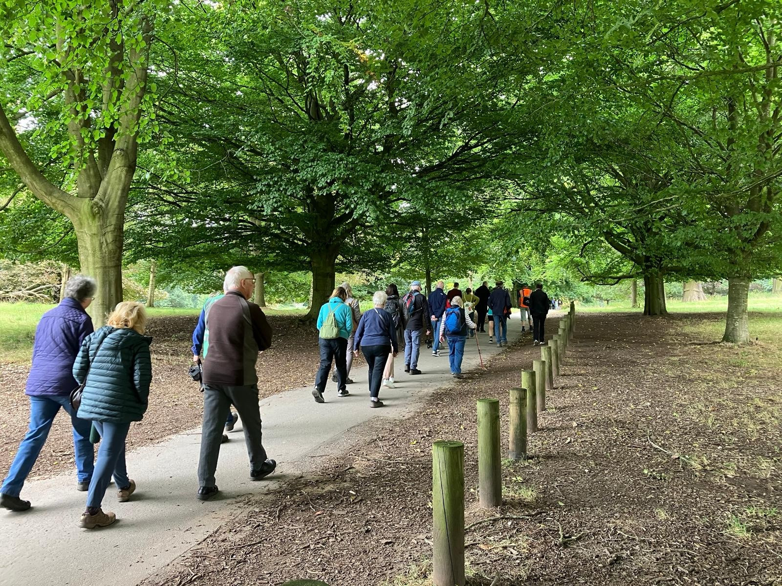 Tree walk