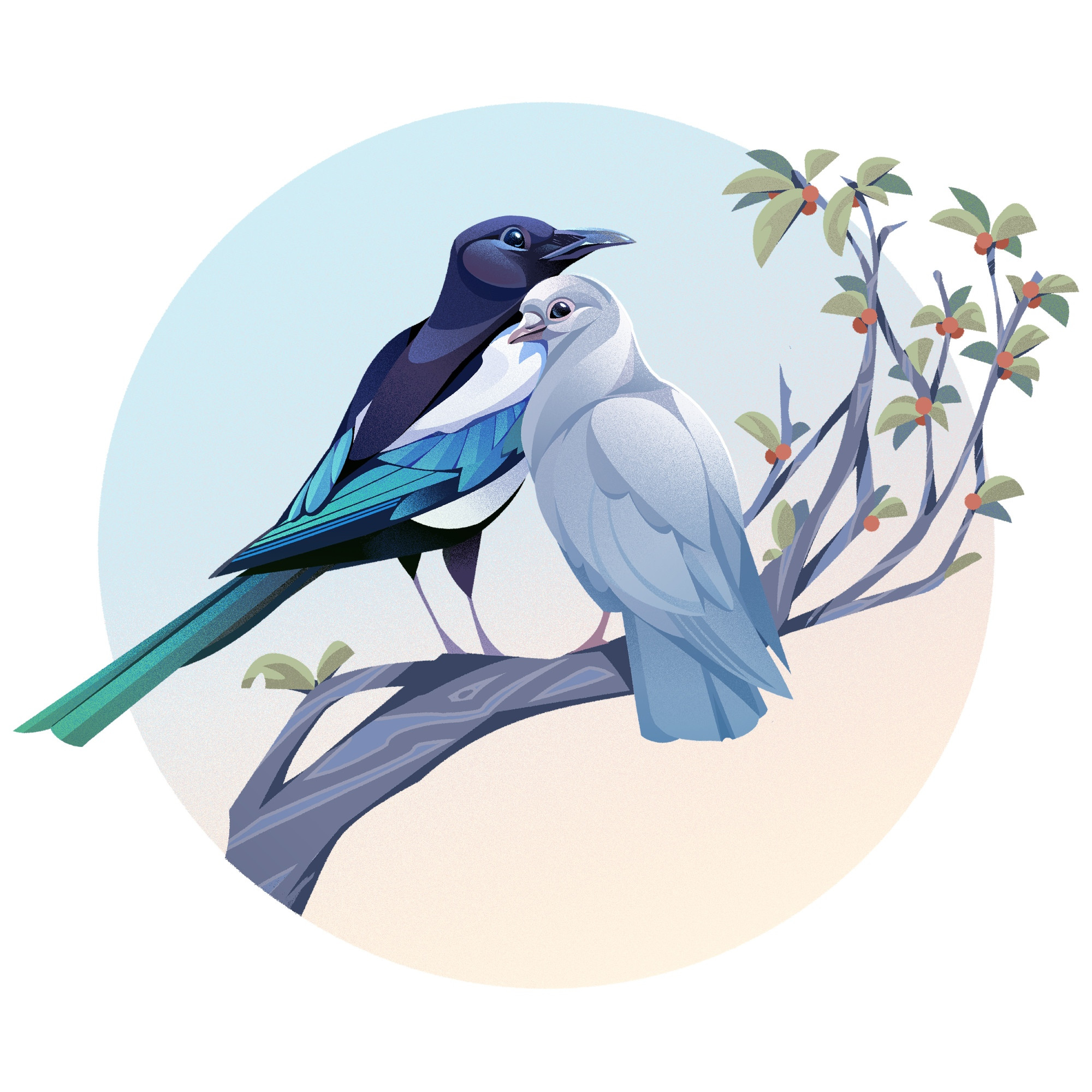 A white dove being cosy with a magpie, a black and white bird with green-blue wings and tail, both perched on a branch with leaves and berries