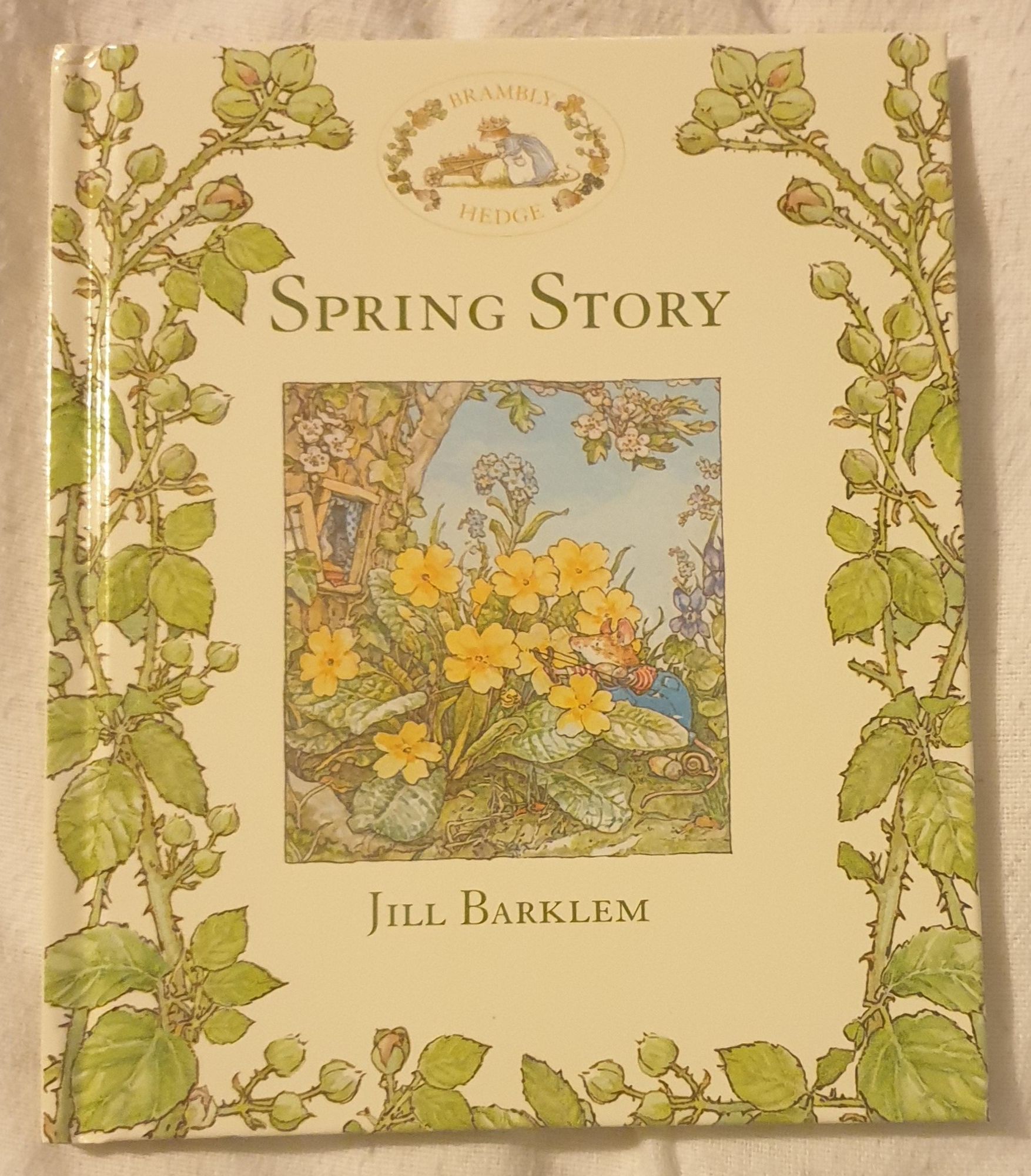 Book: Spring Story by Jill Barklem