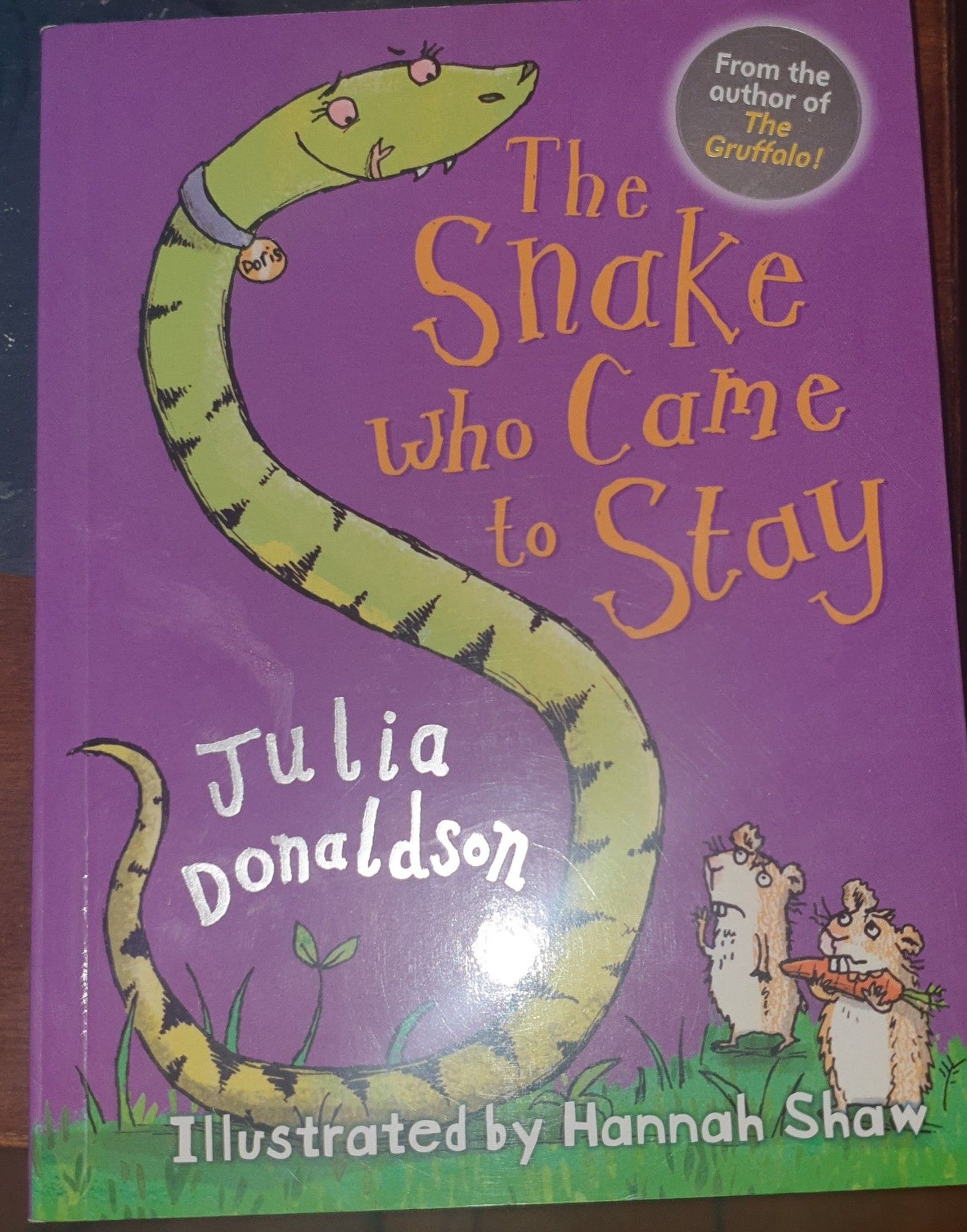 Book: Julia Donaldson & Hannah Shaw, The snake who came to stay.