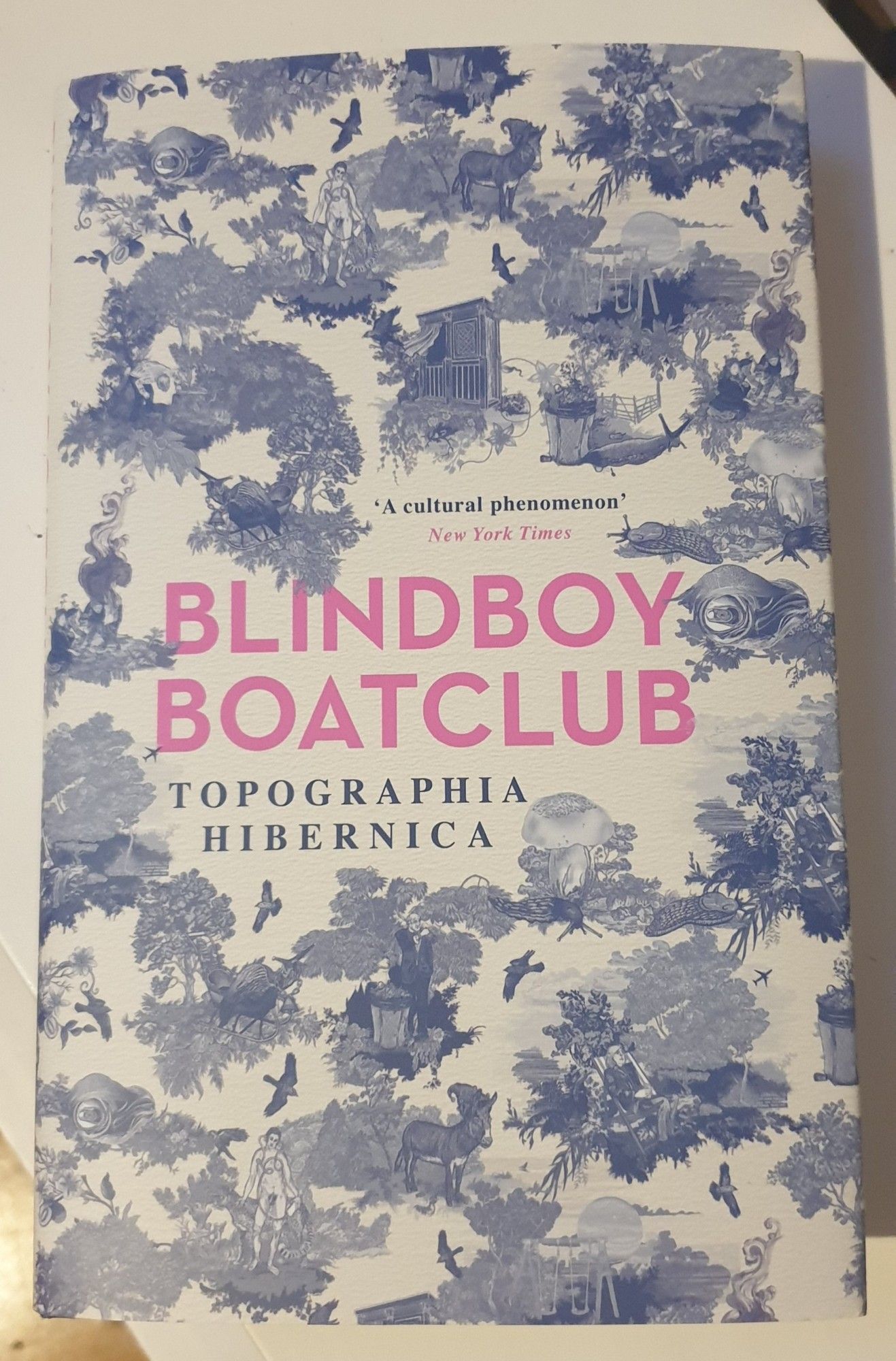 Book: Topographia Hibernica by Blindboy Boatclub