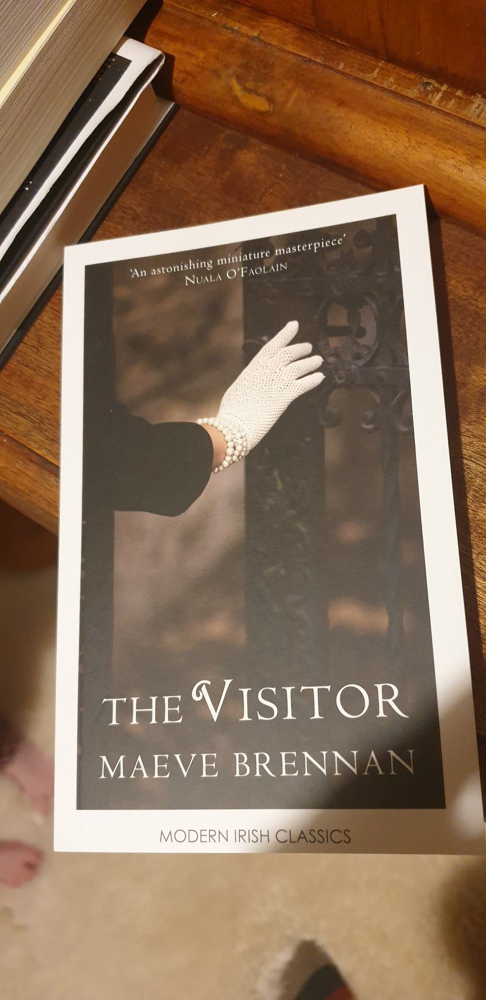 Book: Maeve Brennan, The Visitor