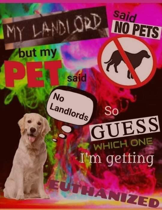 a very busy meme that reads: “my landlord said no pets but my pet said ‘no landlords’ so guess which one i’m getting euthanized.”