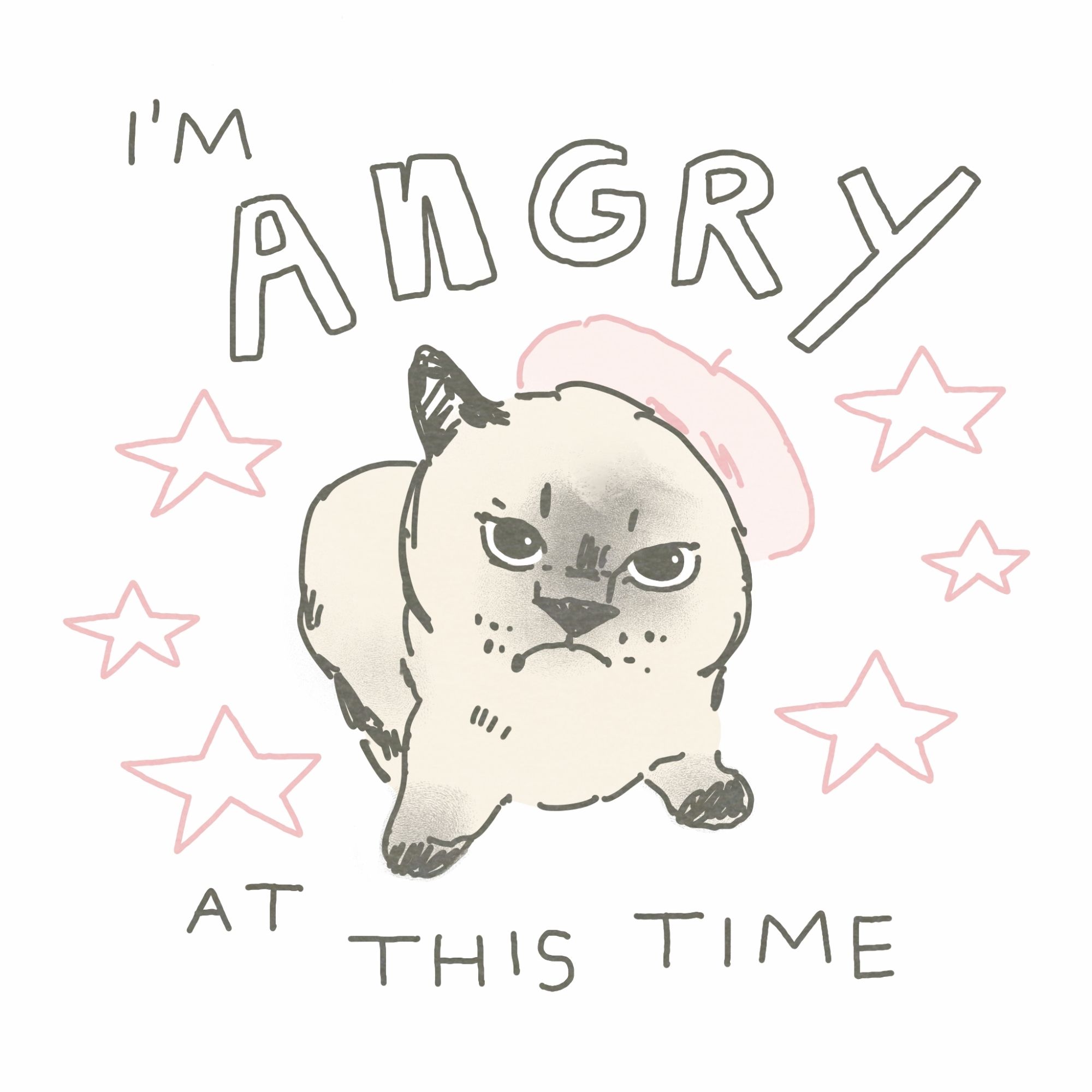 A drawing of an angry-looking cat wearing a pink beret. Text reads: "I'm ANGRY at this time".