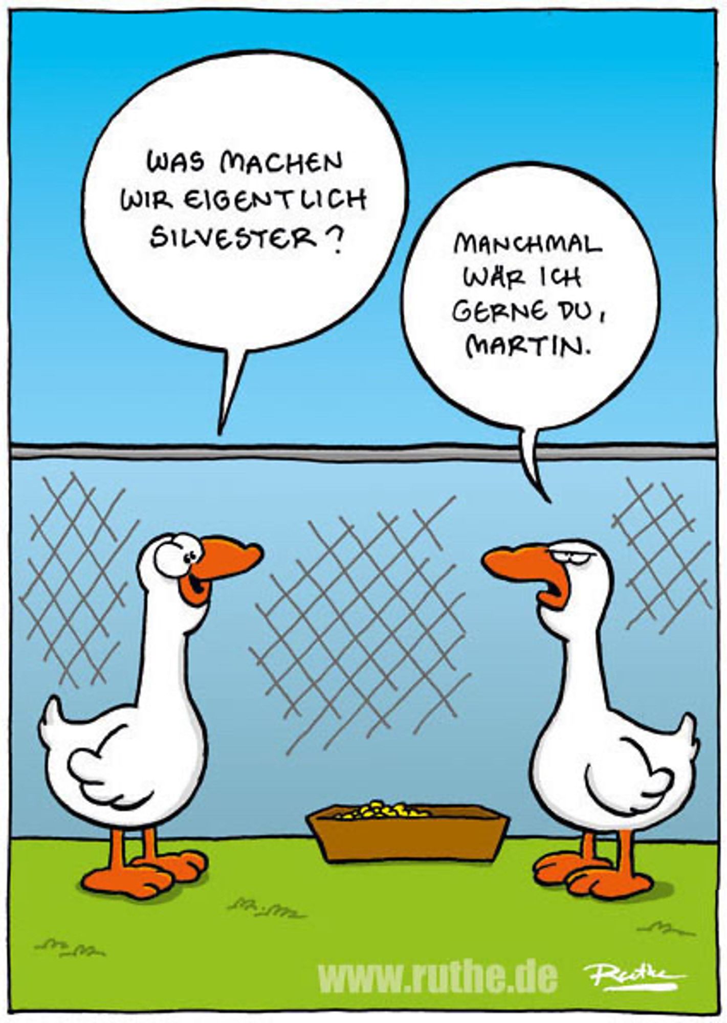 Zwei Gänse auf einem Bauernhof. Linke Gans (gut gelaunt): "Was machen wir eigentlich Silvester?". Rechte Gans (abgeklärt): "Manchmal wär ich gerne du, Martin."